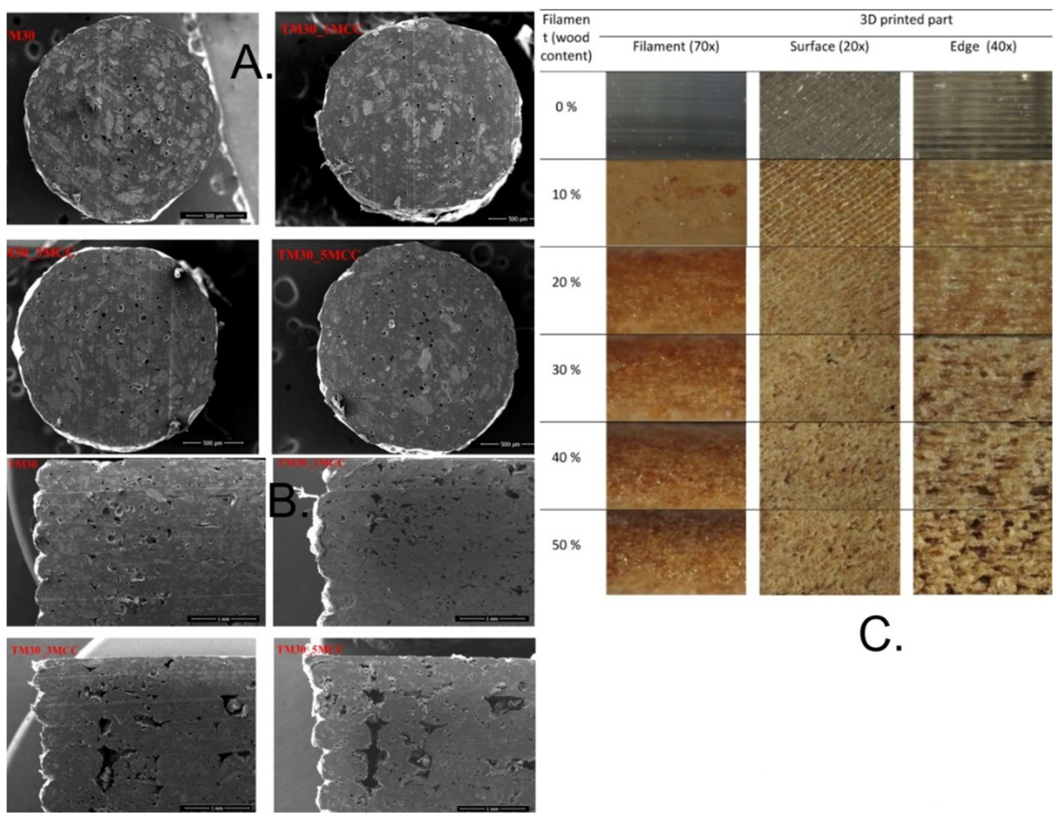 Fibers 13 00064 g012