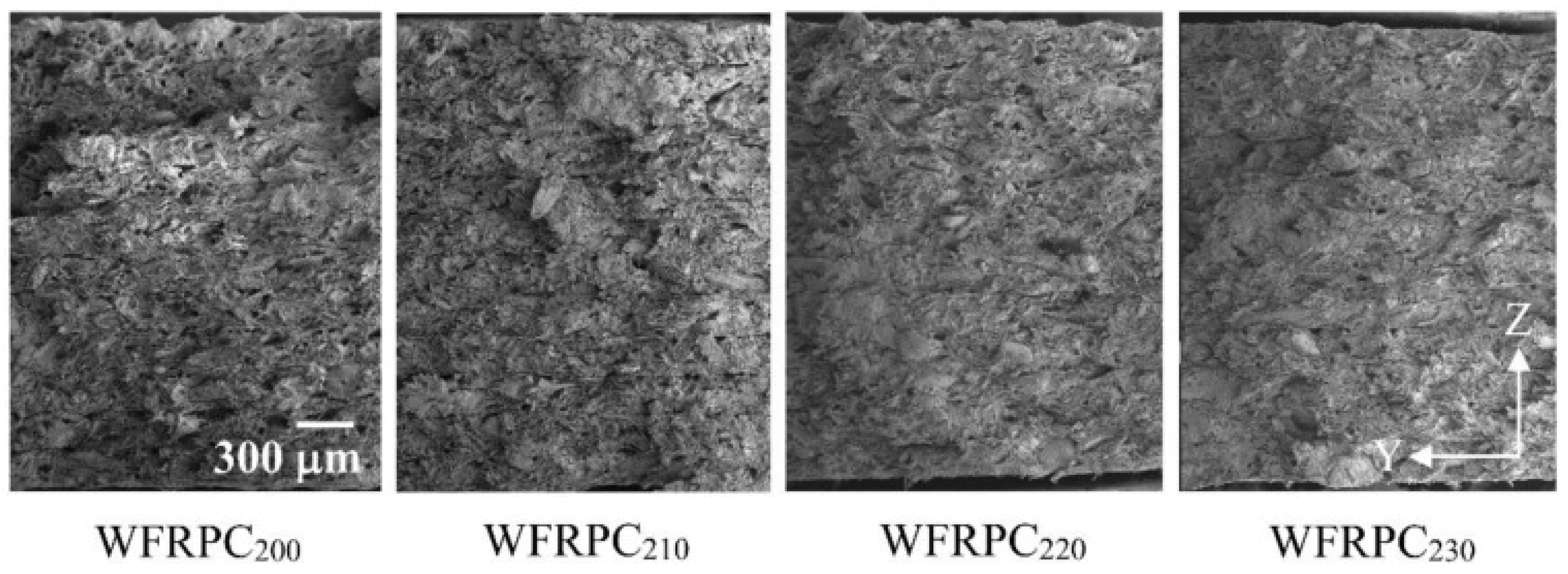 Fibers 13 00064 g013