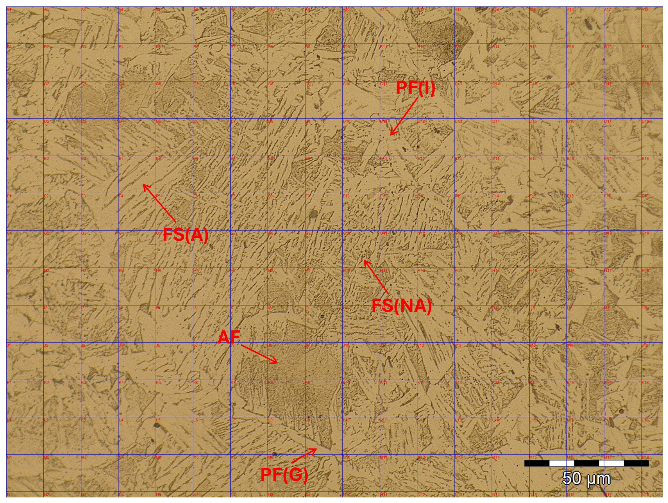 Fibers 13 00066 g001