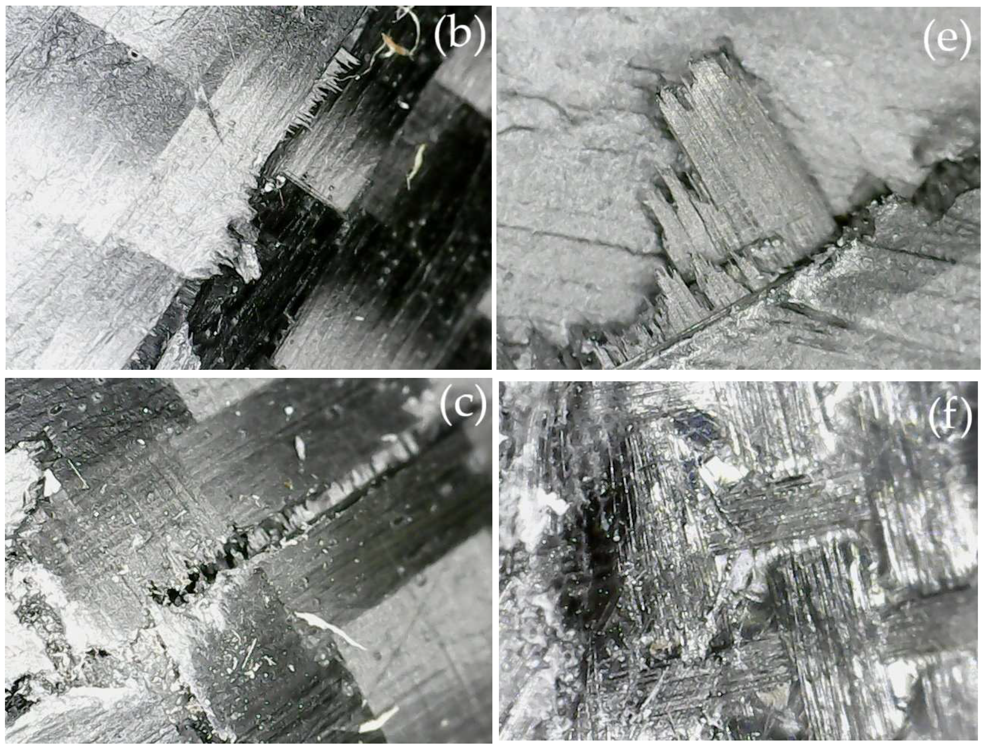 Fibers 13 00067 g009b
