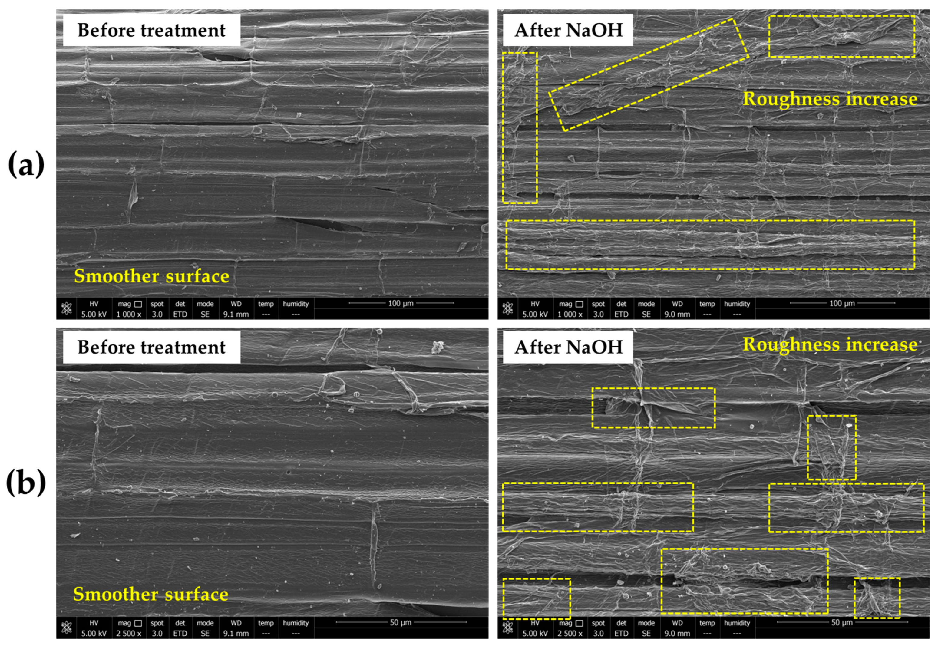 Fibers 13 00075 g003