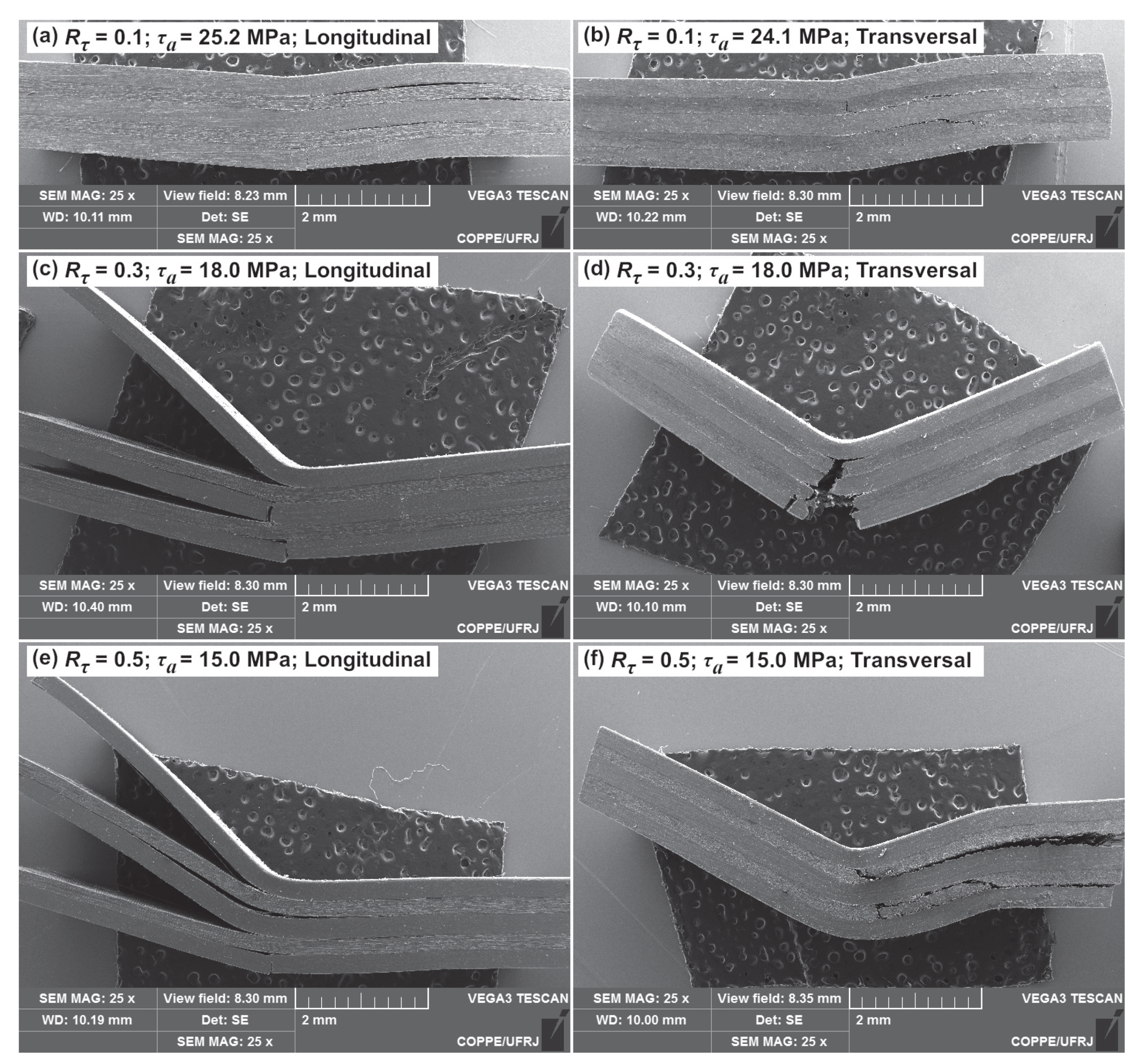 Fibers 13 00077 g008