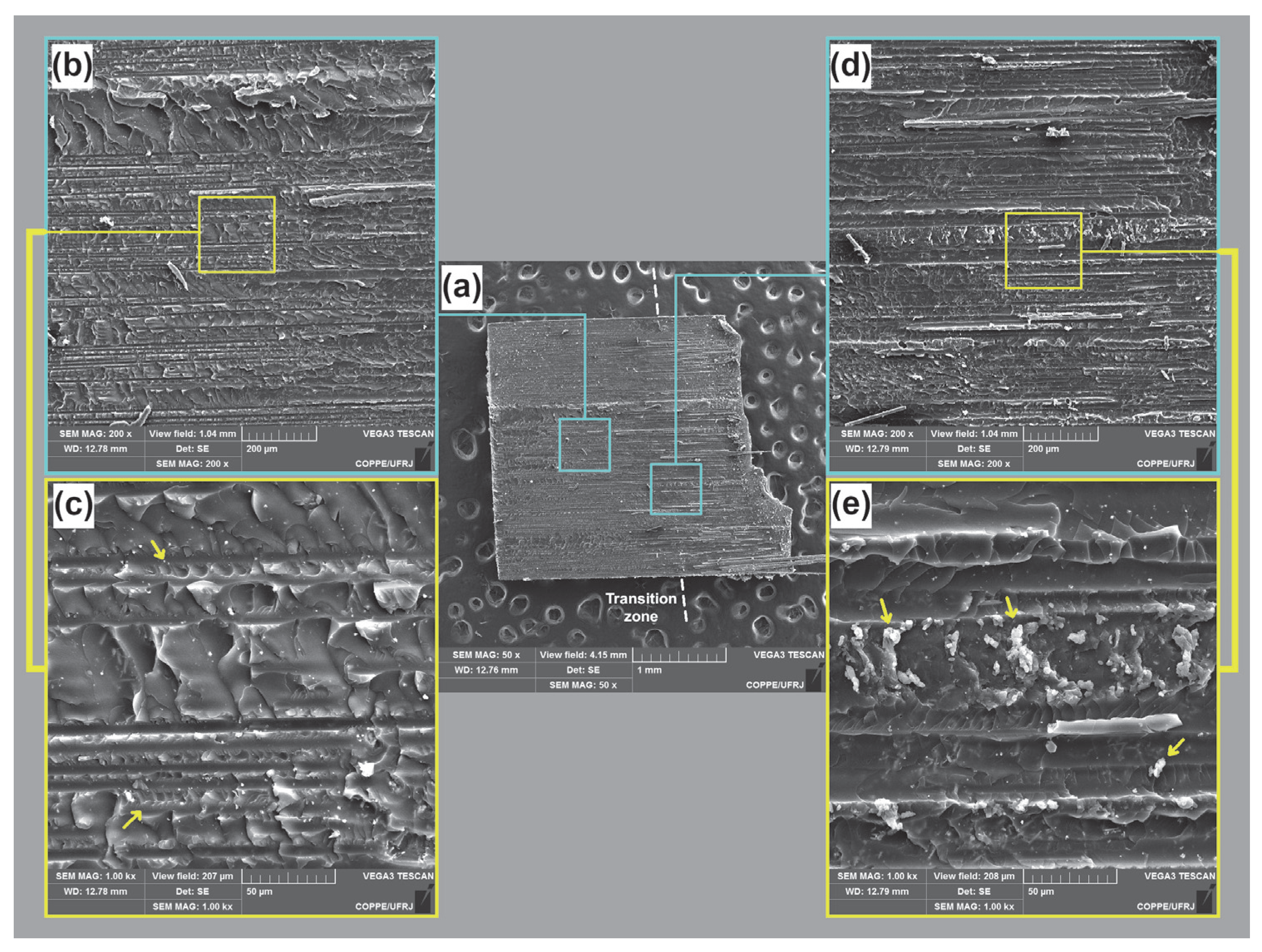 Fibers 13 00077 g010