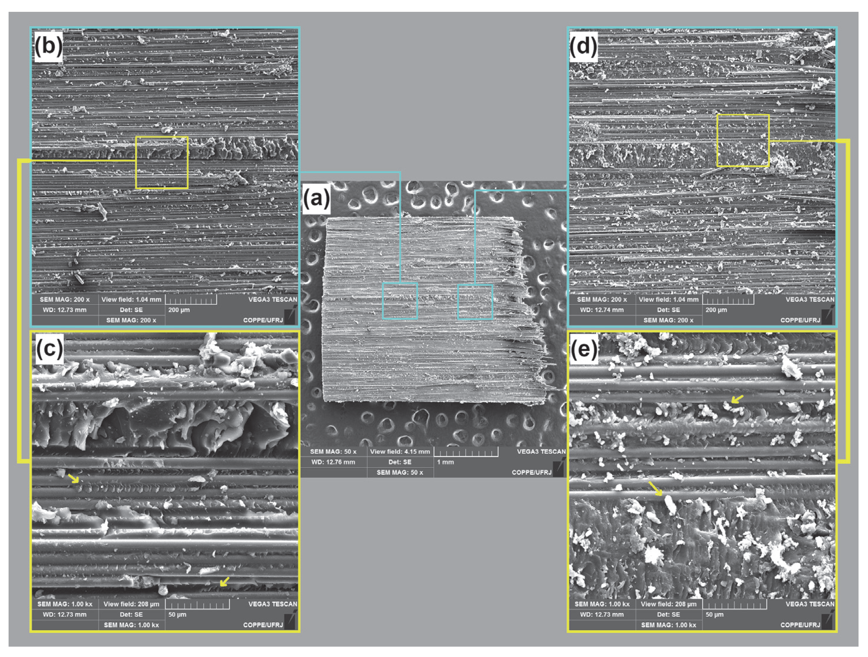 Fibers 13 00077 g011