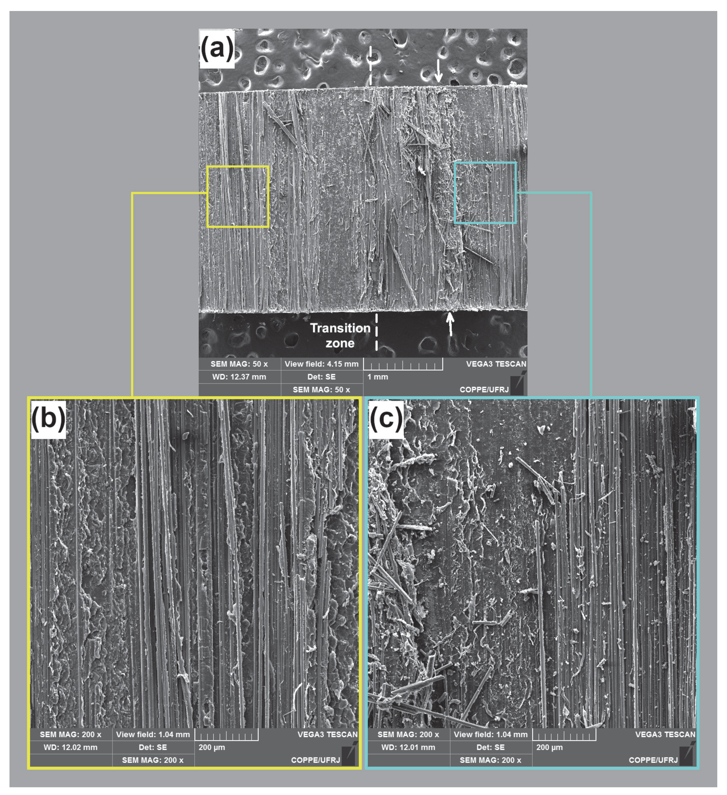 Fibers 13 00077 g012