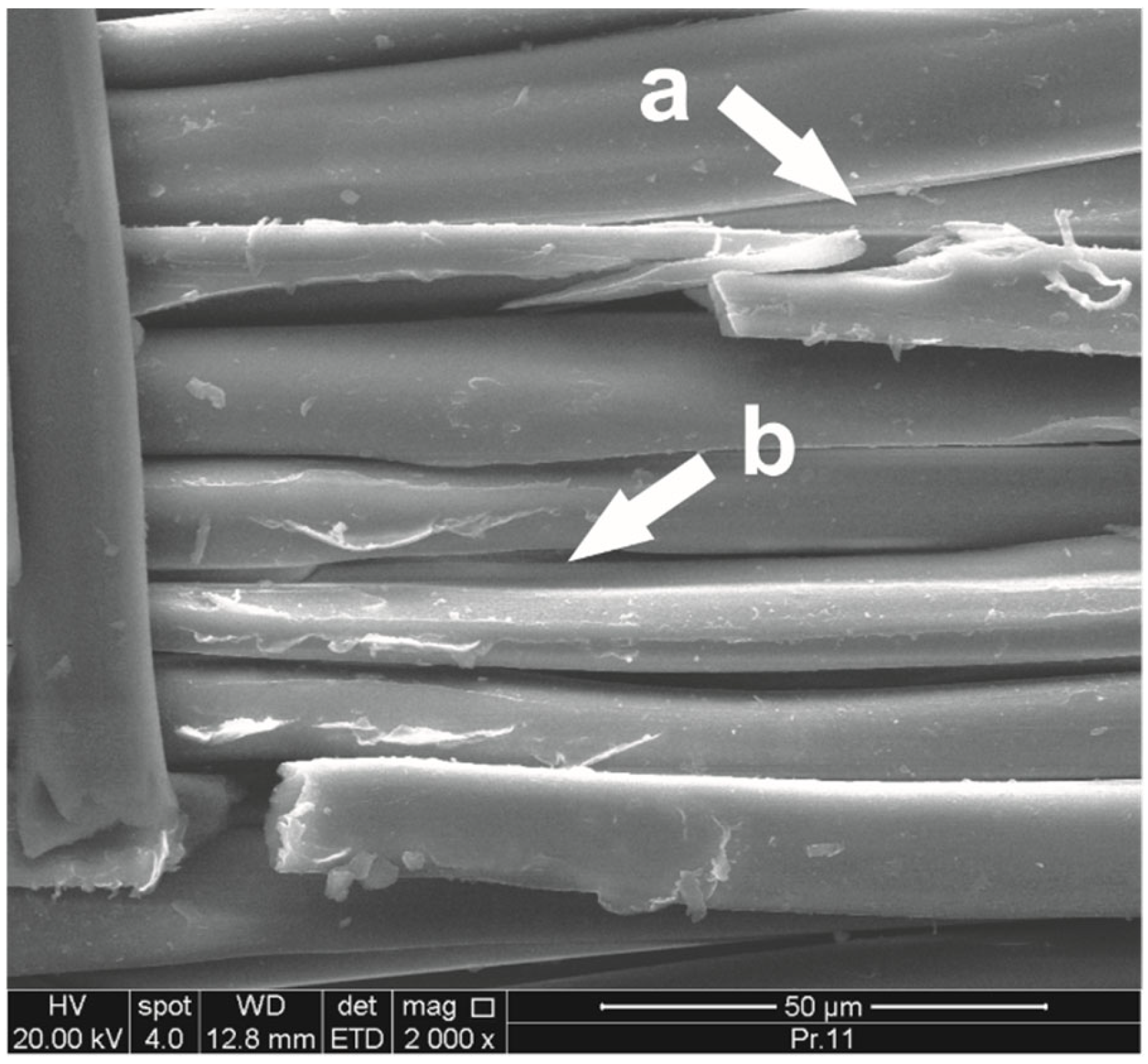 Fibers 13 00078 g002