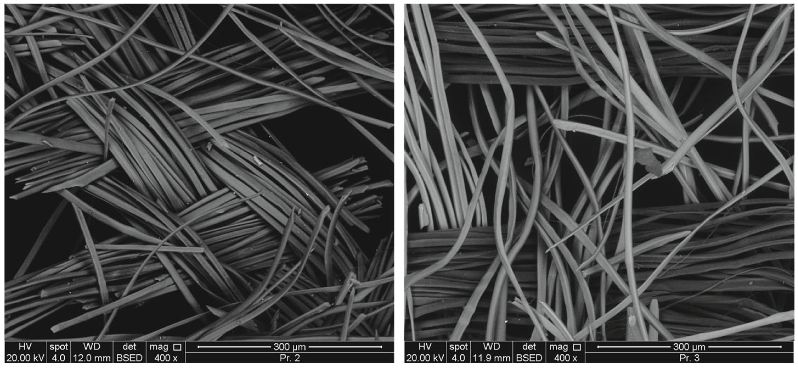 Fibers 13 00078 g004