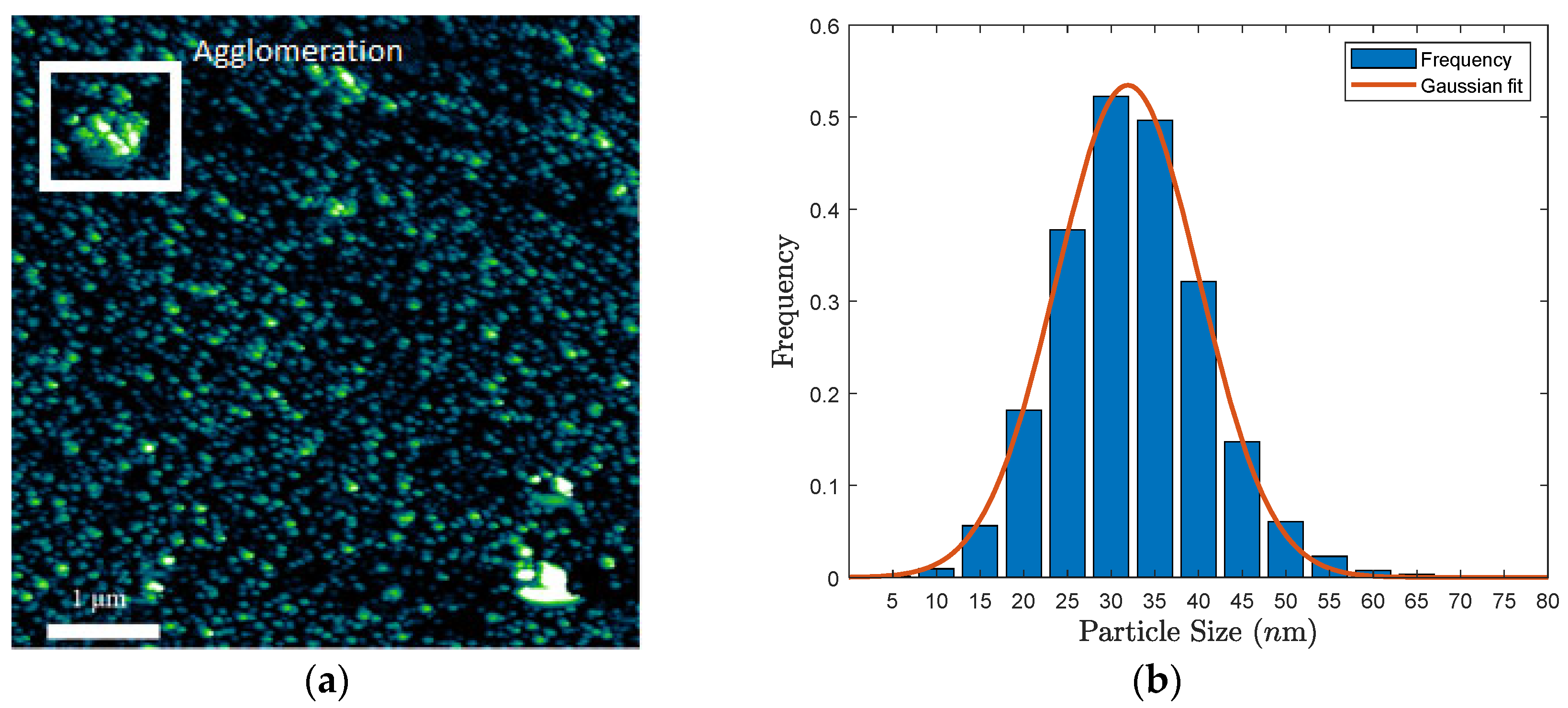 Fibers 13 00081 g012