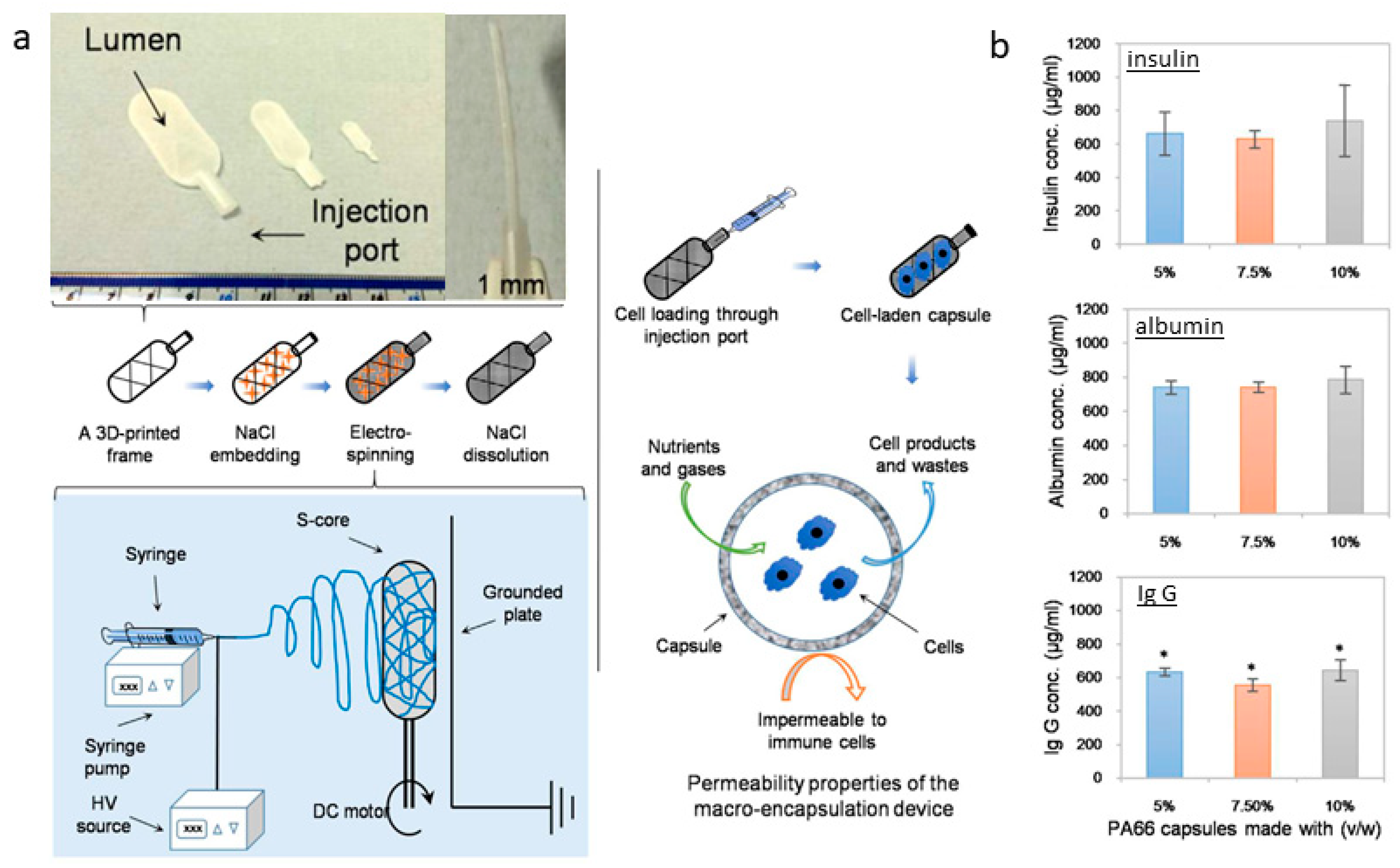 Fibers 13 00083 g007