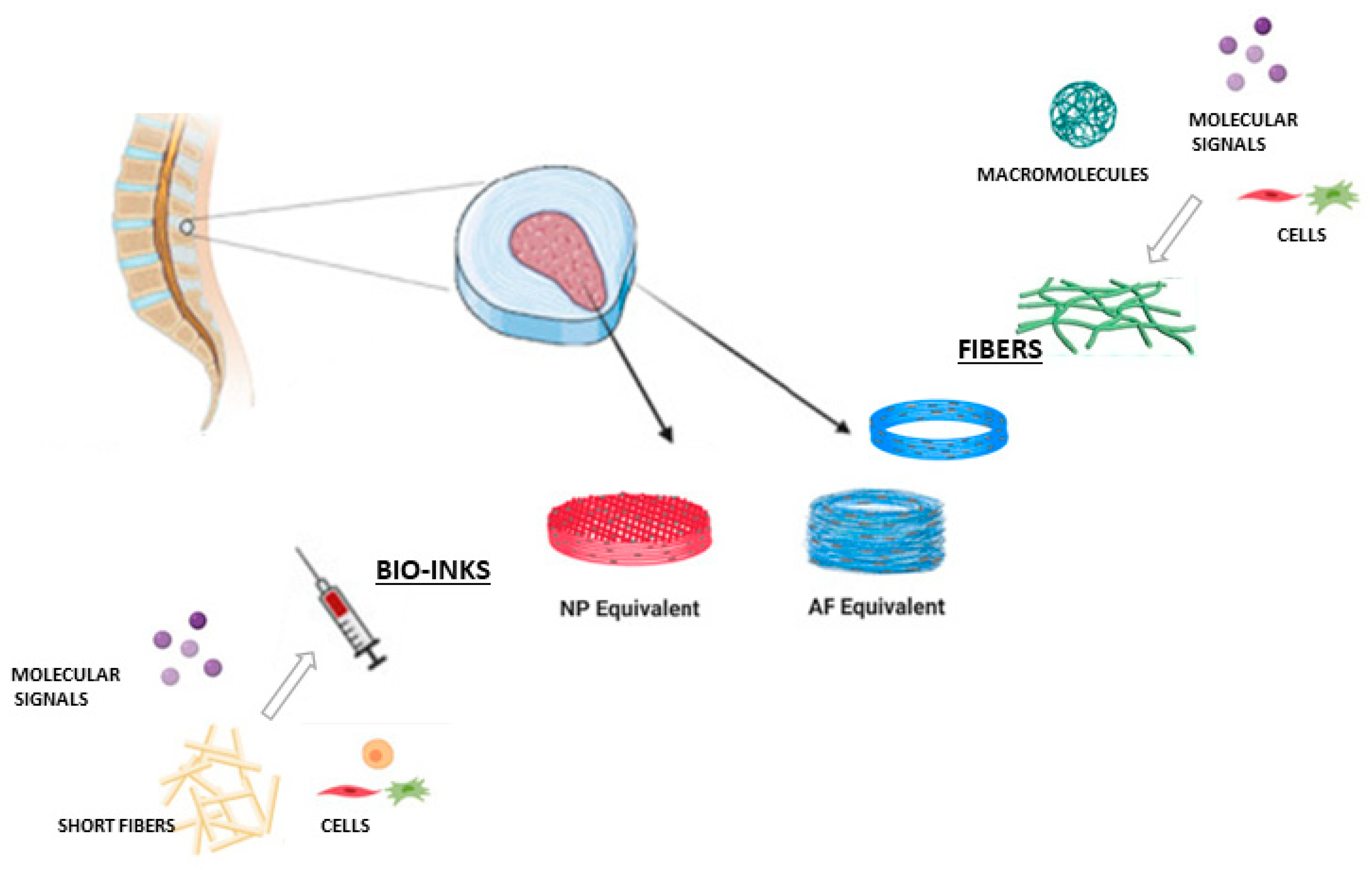 Fibers 13 00083 g009