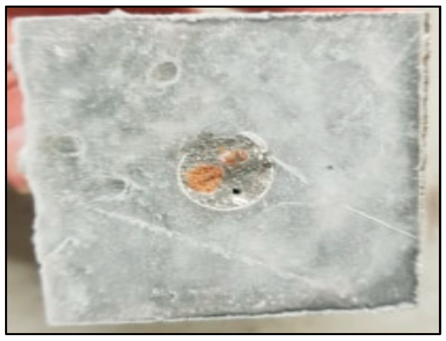 Fibers 13 00084 g011