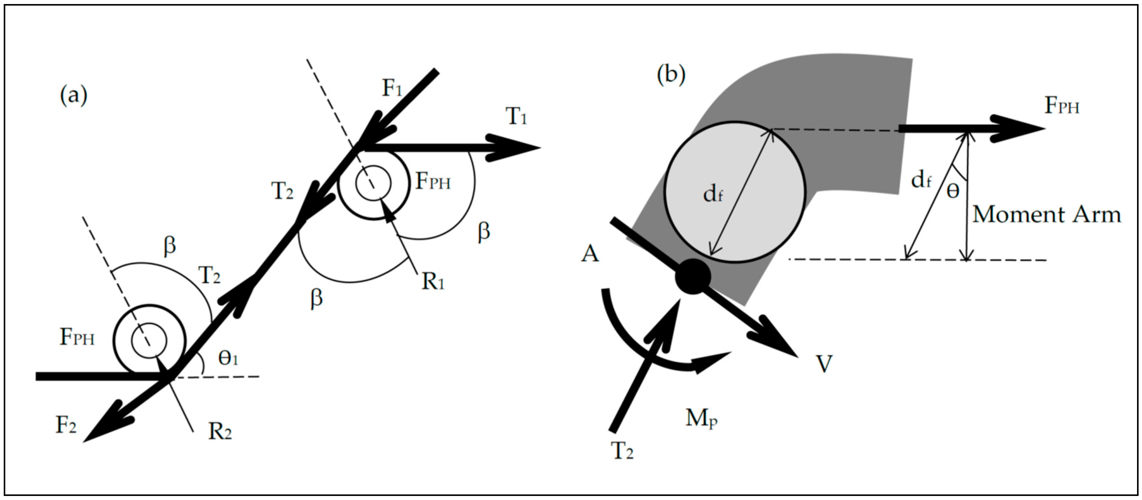Fibers 13 00084 g015