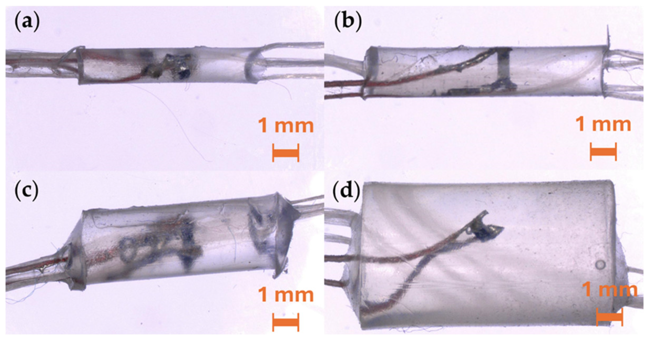 Fibers 13 00089 g001