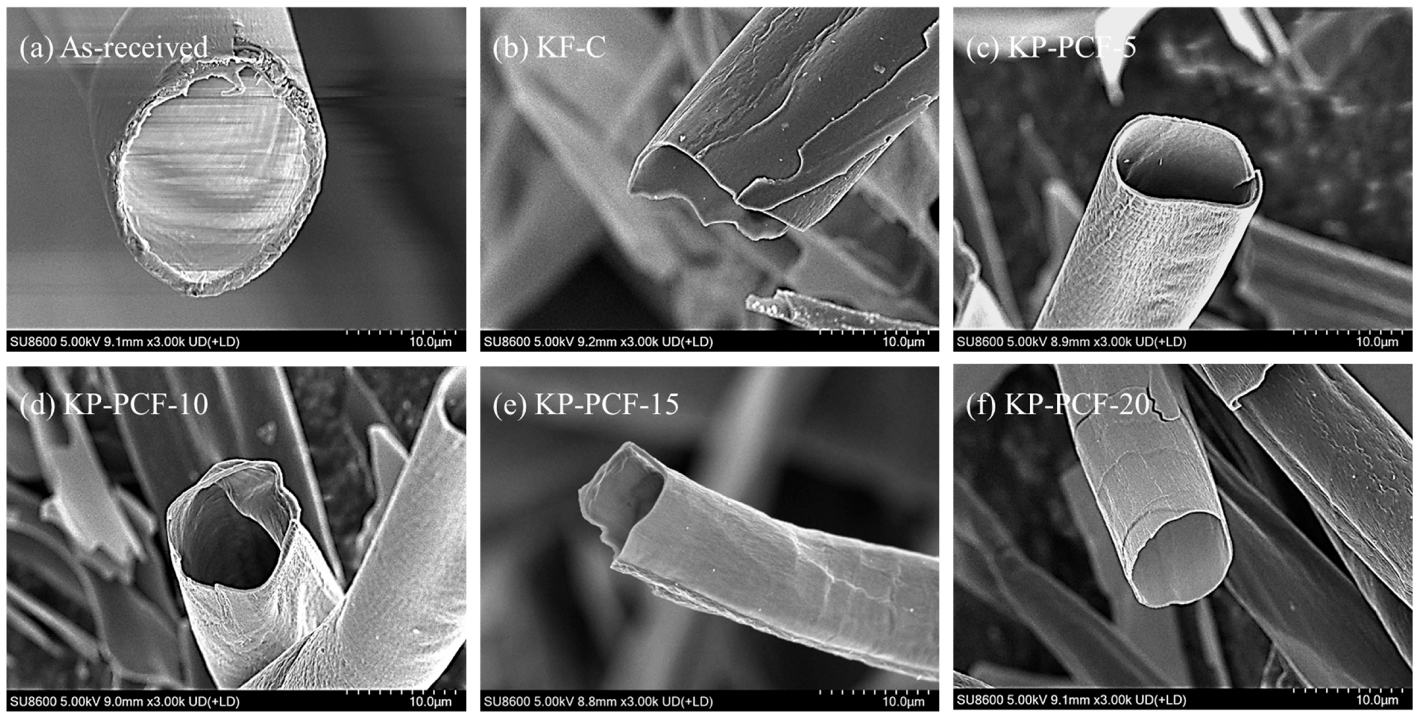 Fibers 13 00092 g001