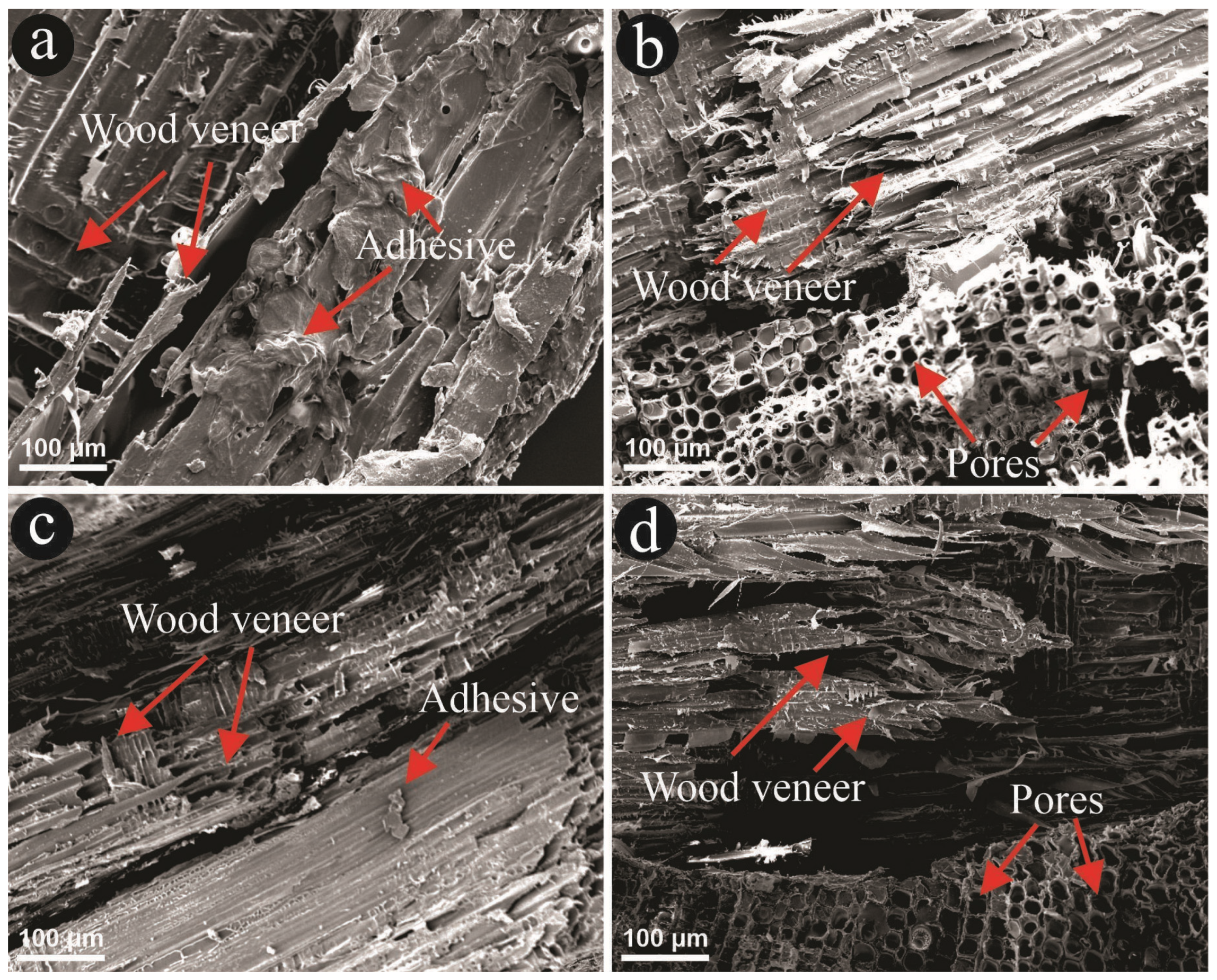 Fibers 13 00095 g009