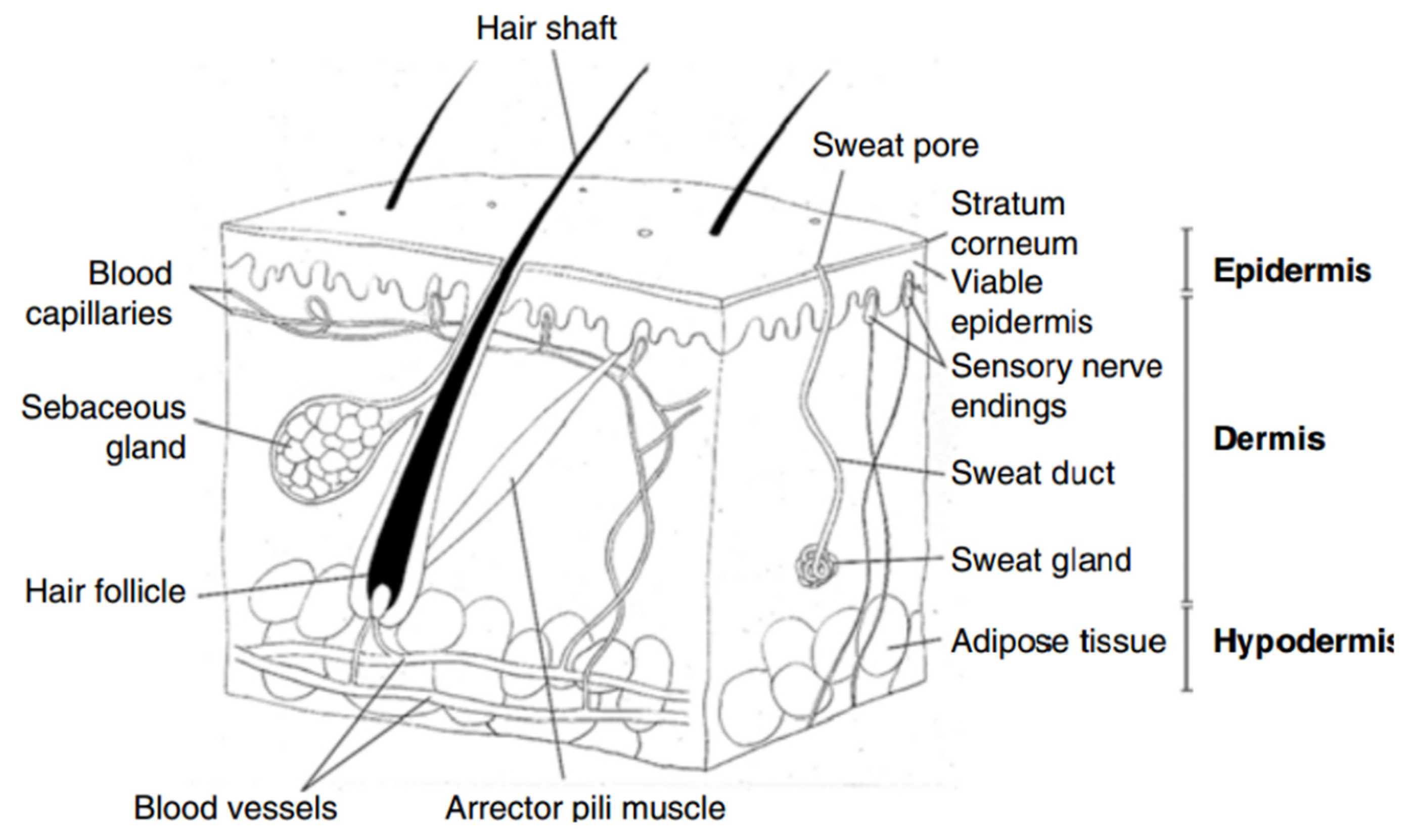 Fibers 13 00100 g001