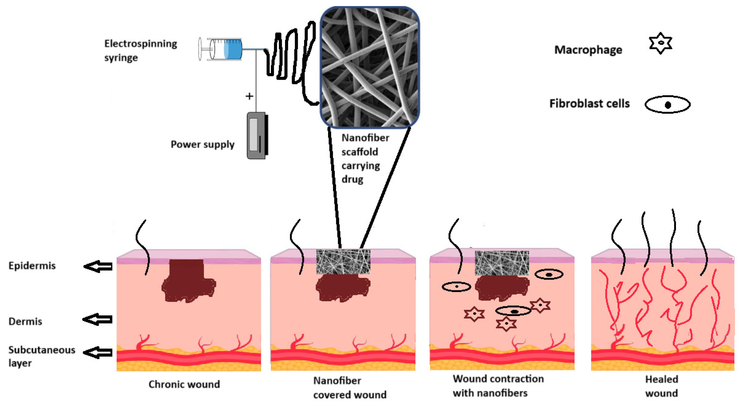 Fibers 13 00100 g006