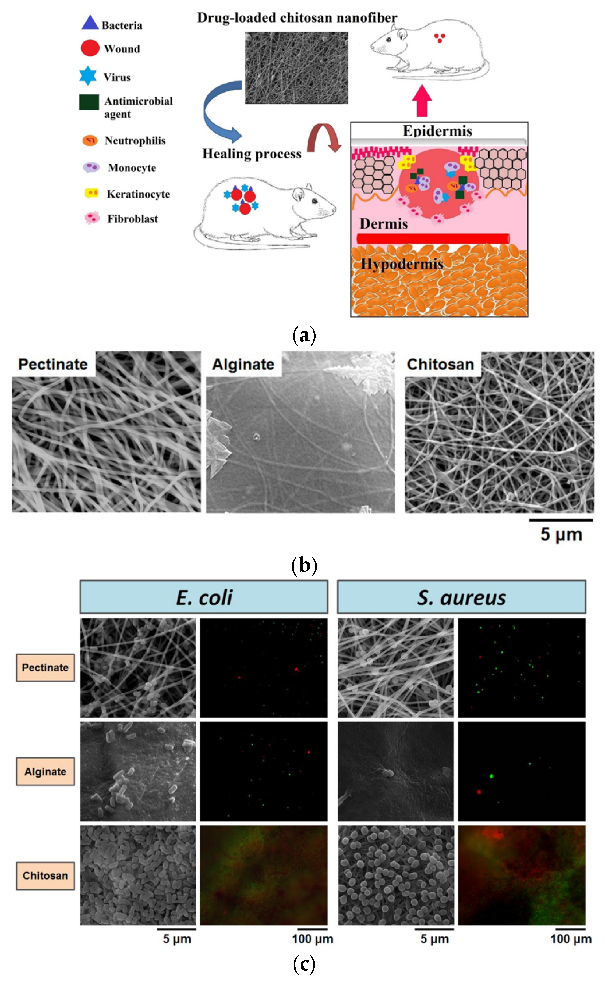 Fibers 13 00100 g008