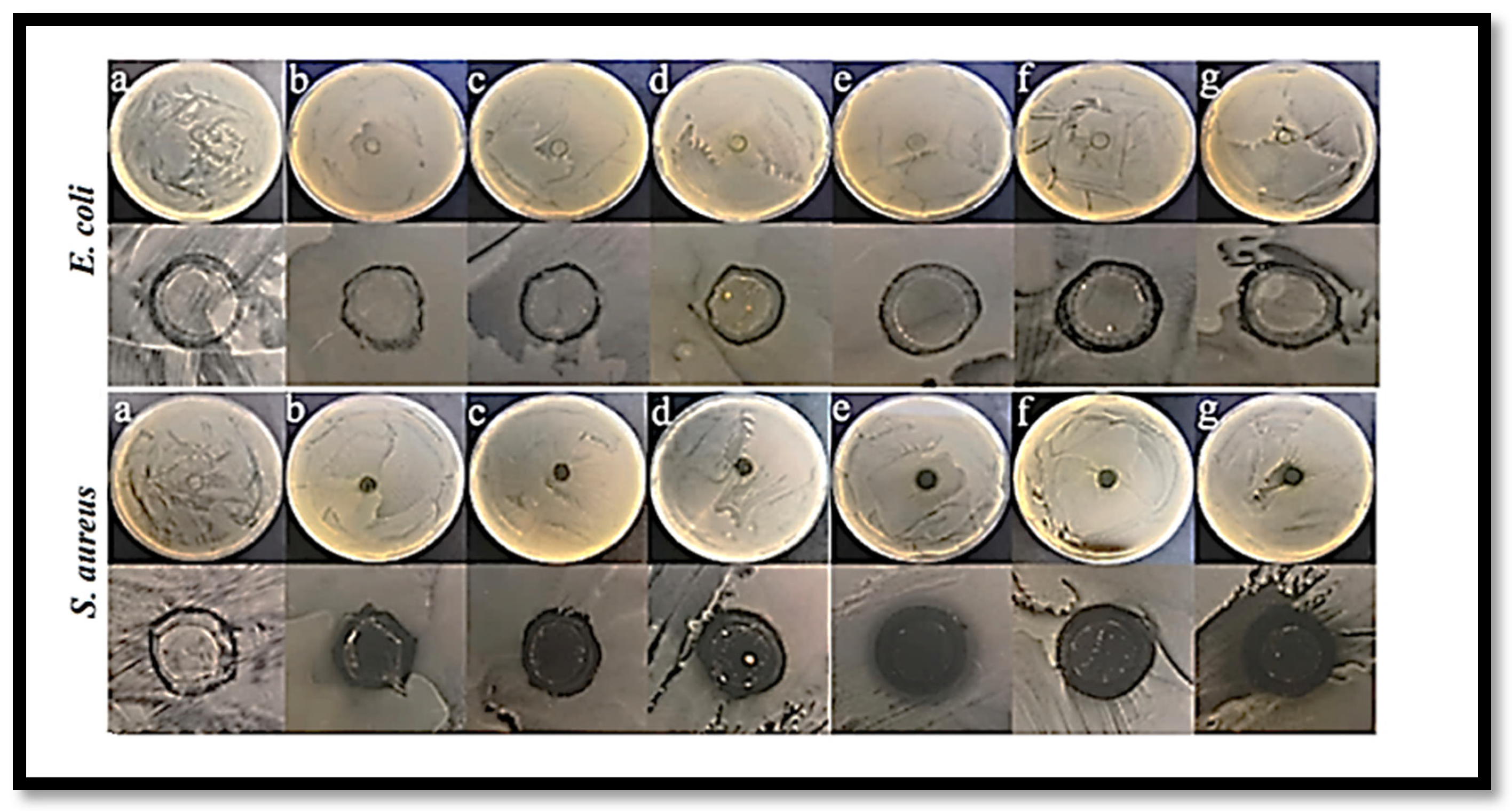 Fibers 13 00100 g013