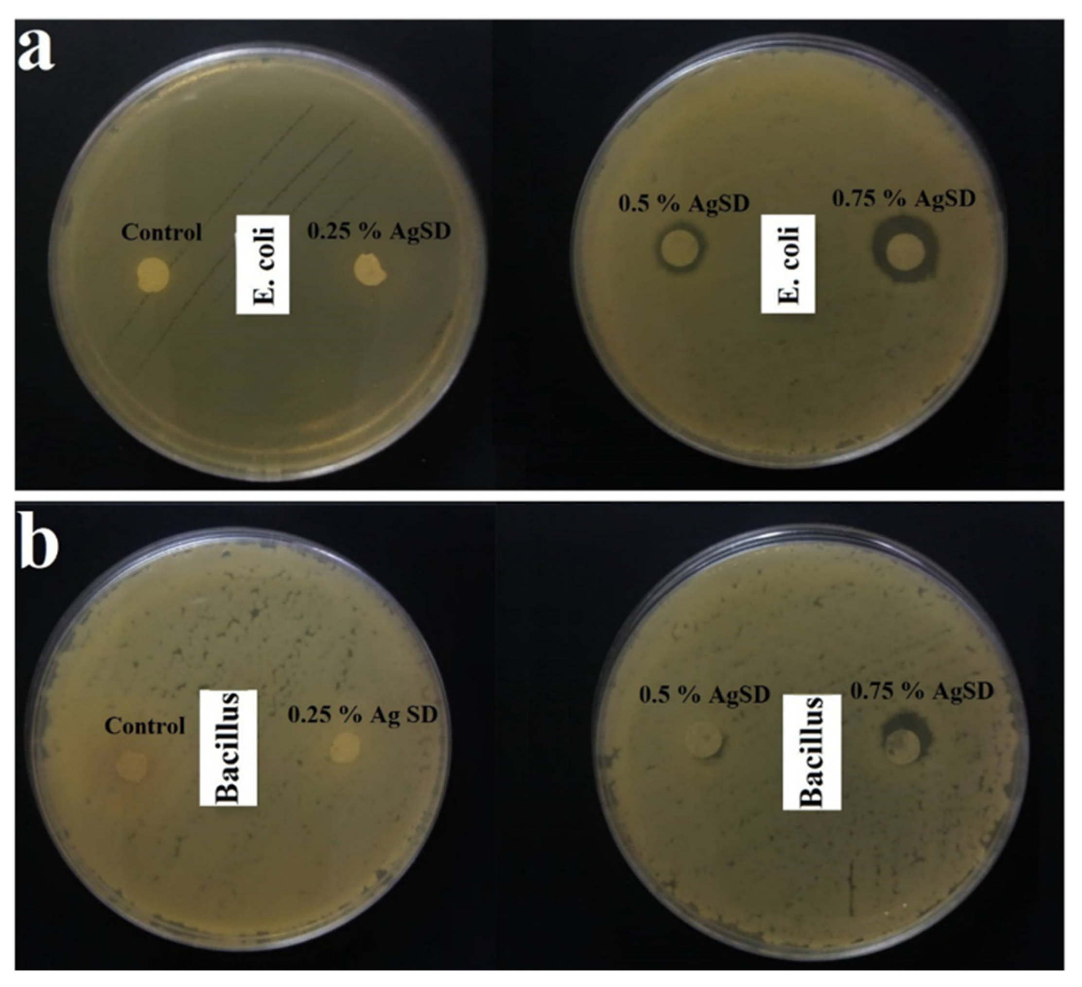Fibers 13 00100 g016