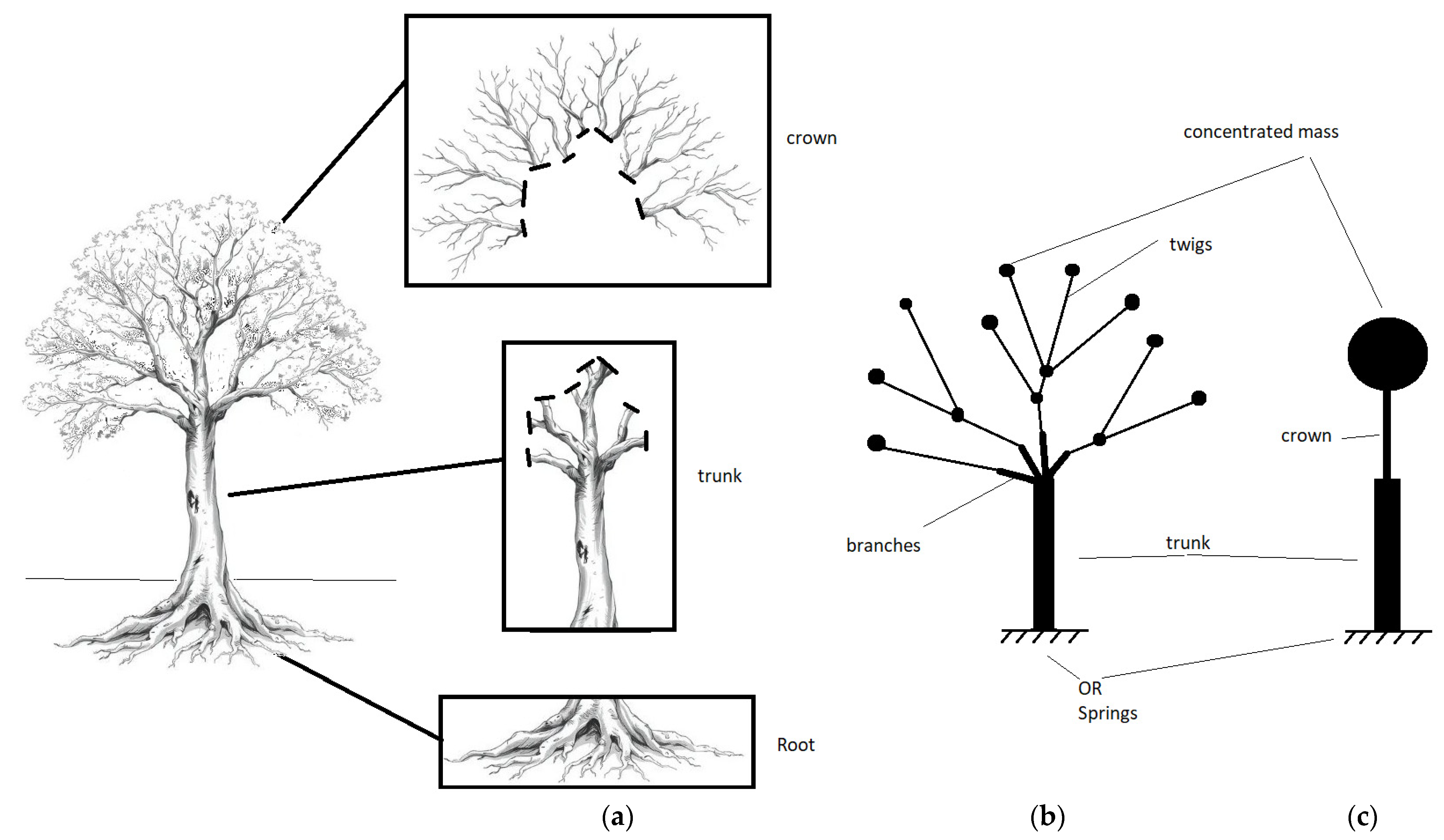 Fibers 13 00101 g002