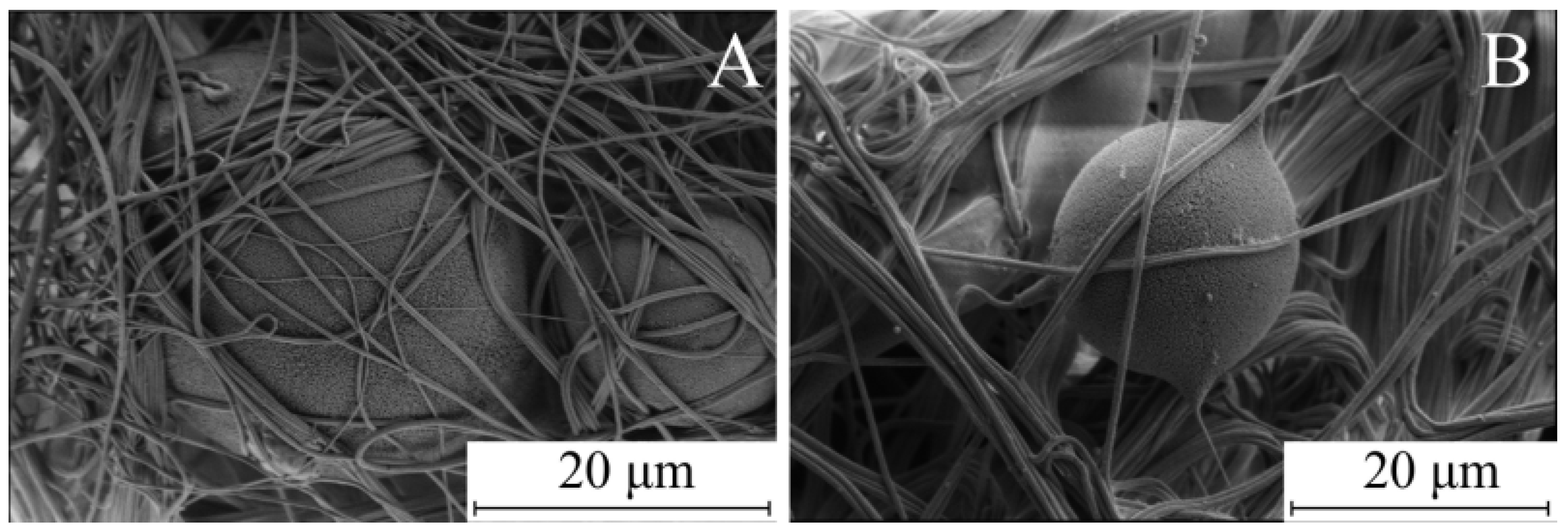 Fibers 13 00102 g004