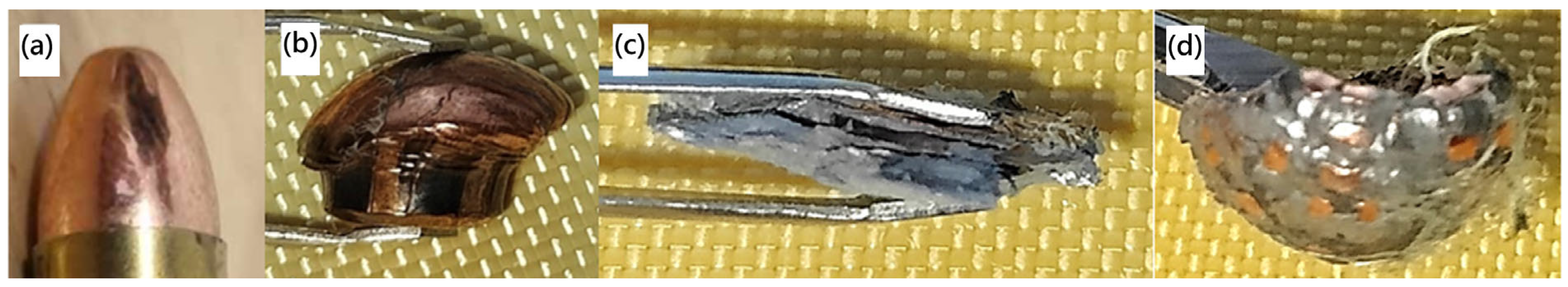 Fibers 13 00106 g011 Fibers 13 00106 g011