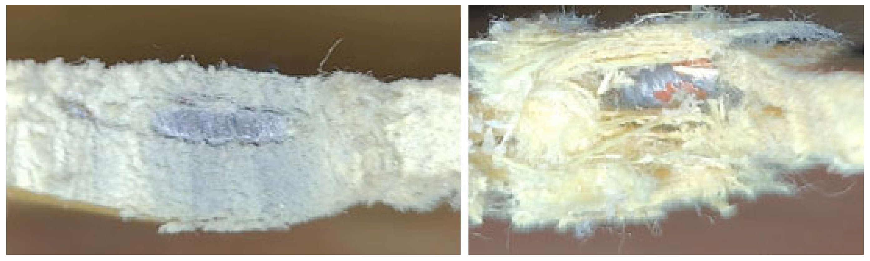 Fibers 13 00106 g012 Fibers 13 00106 g012