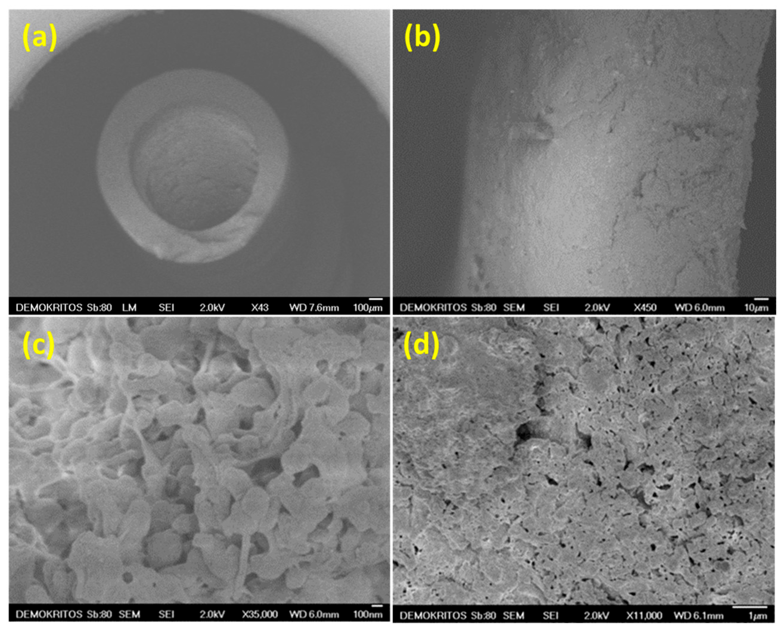 Fibers 13 00112 g001