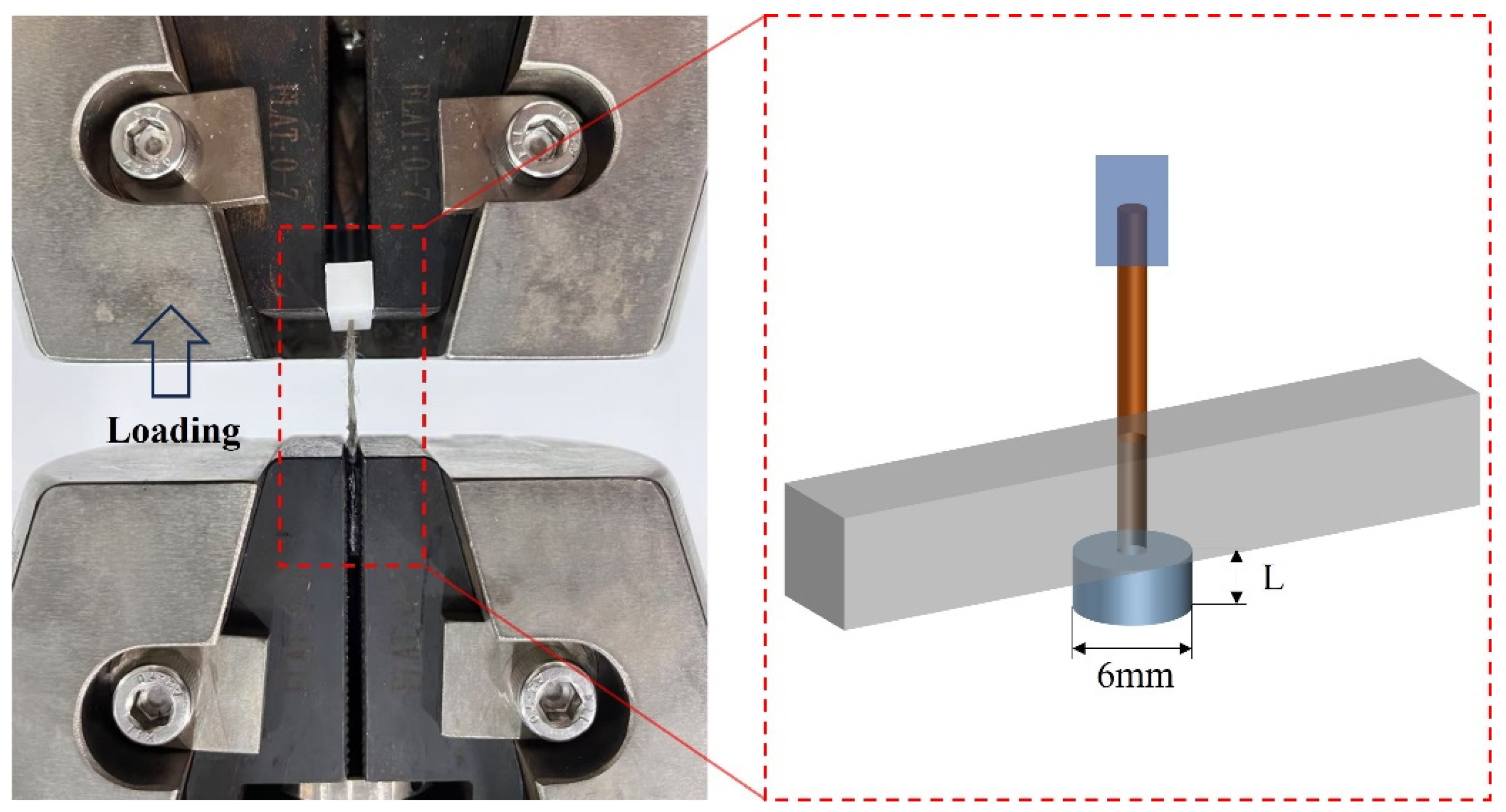 Fibers 13 00118 g004