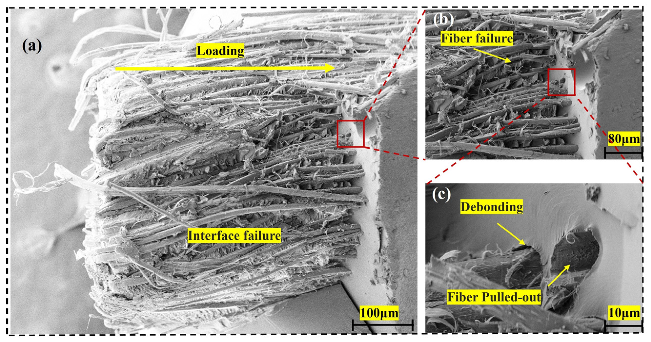 Fibers 13 00118 g013