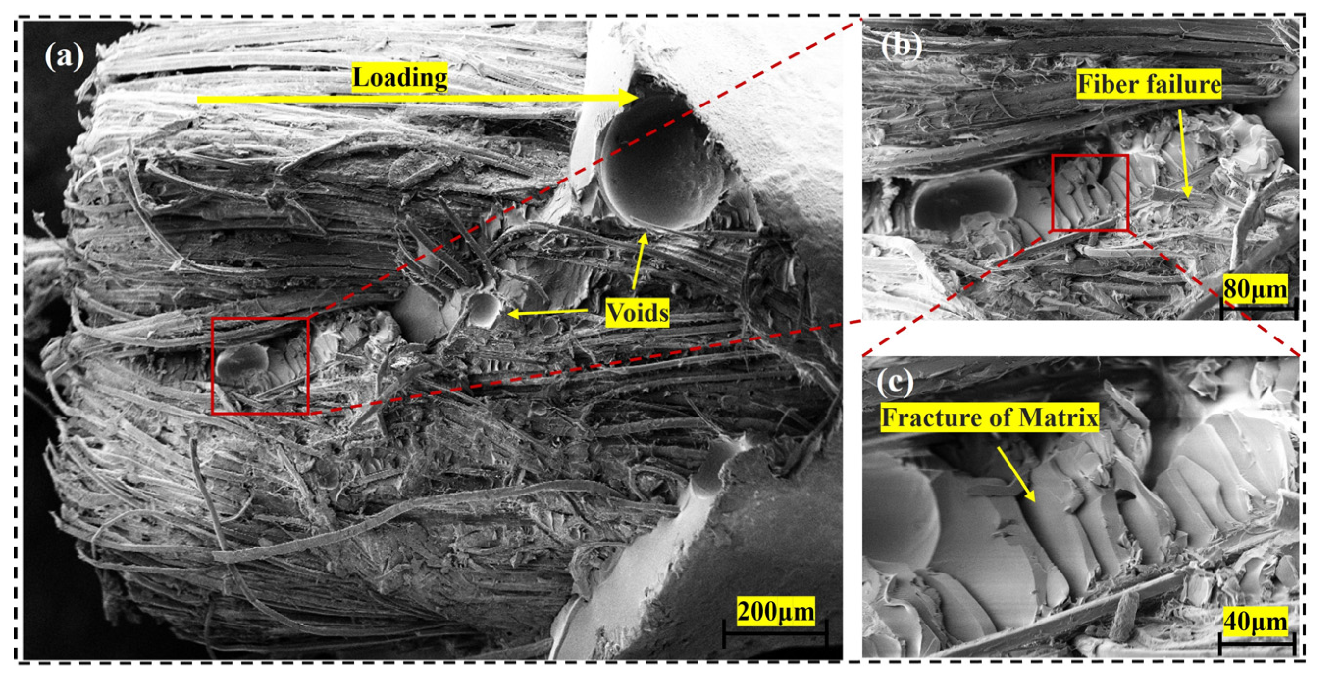 Fibers 13 00118 g014