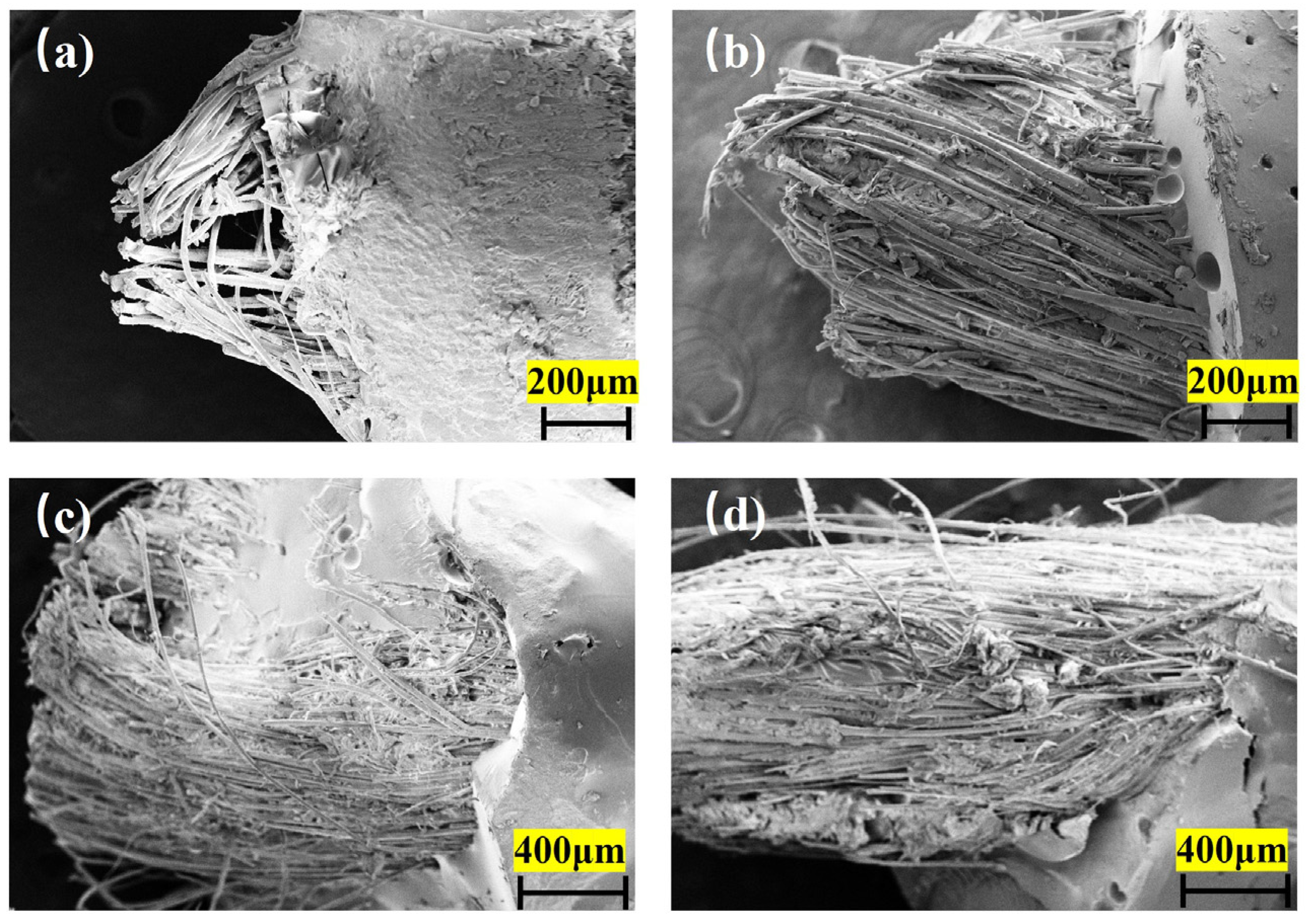 Fibers 13 00118 g015