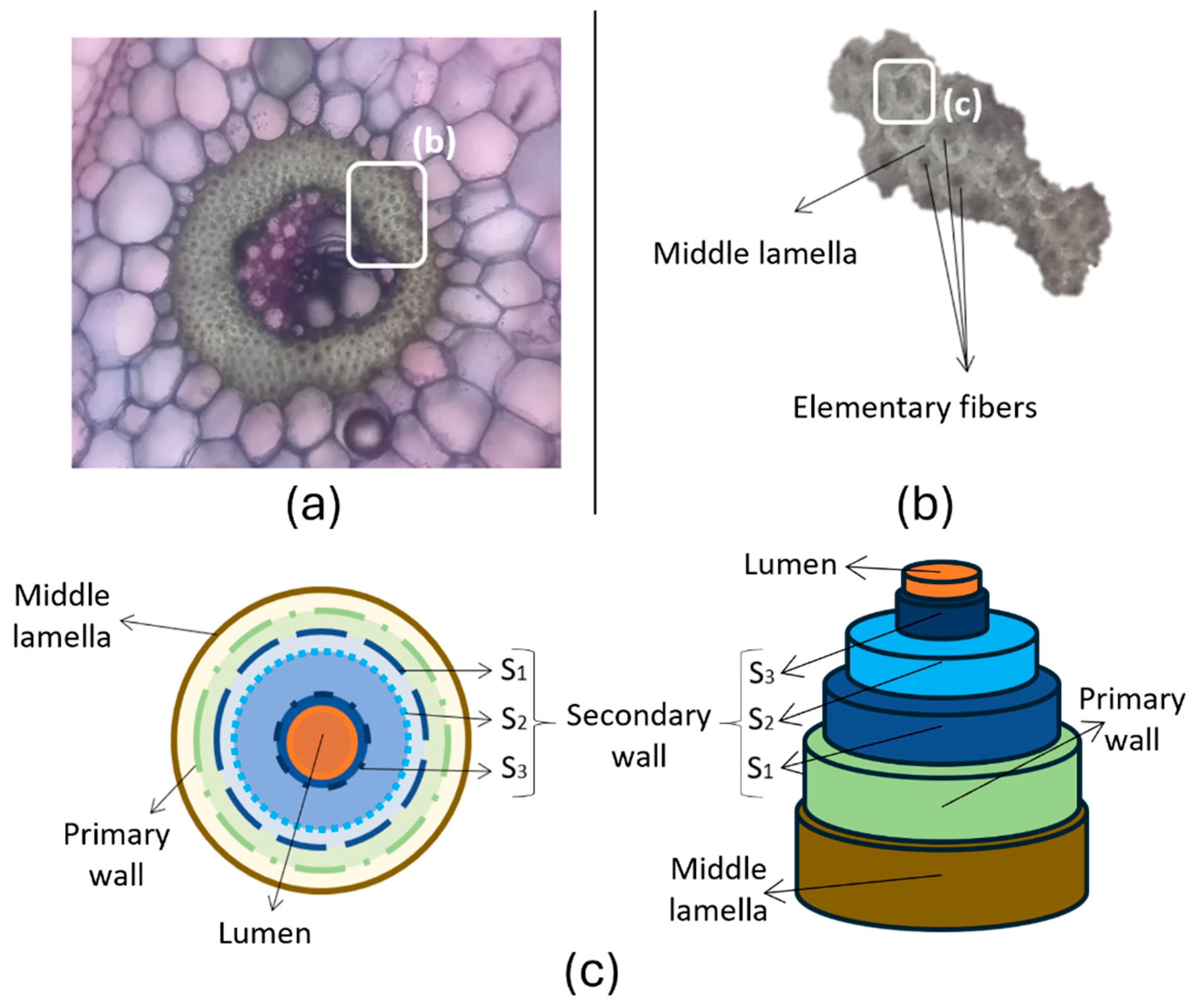 Fibers 13 00119 g002