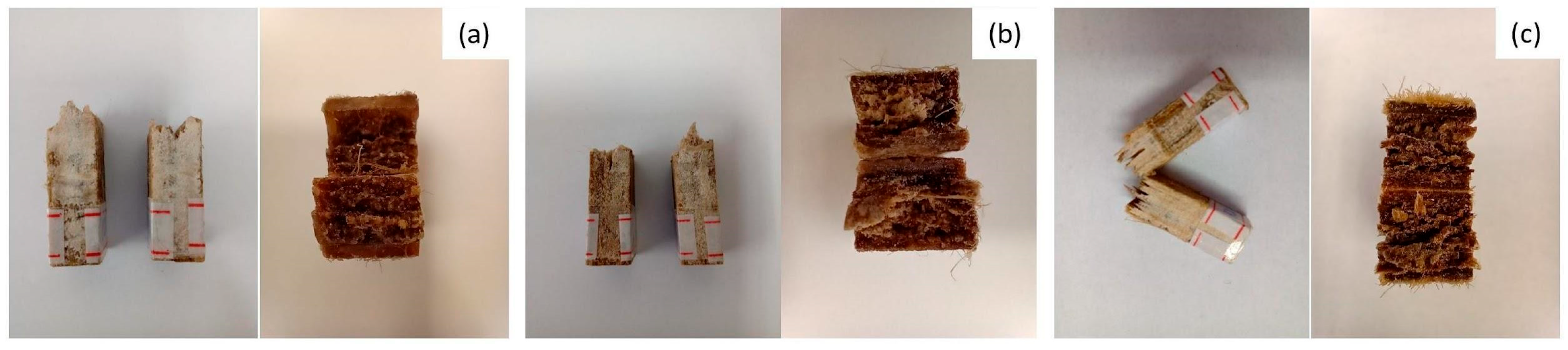 Fibers 13 00120 g007