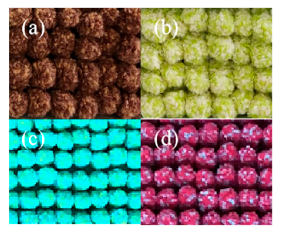 Fibers 13 00126 g010