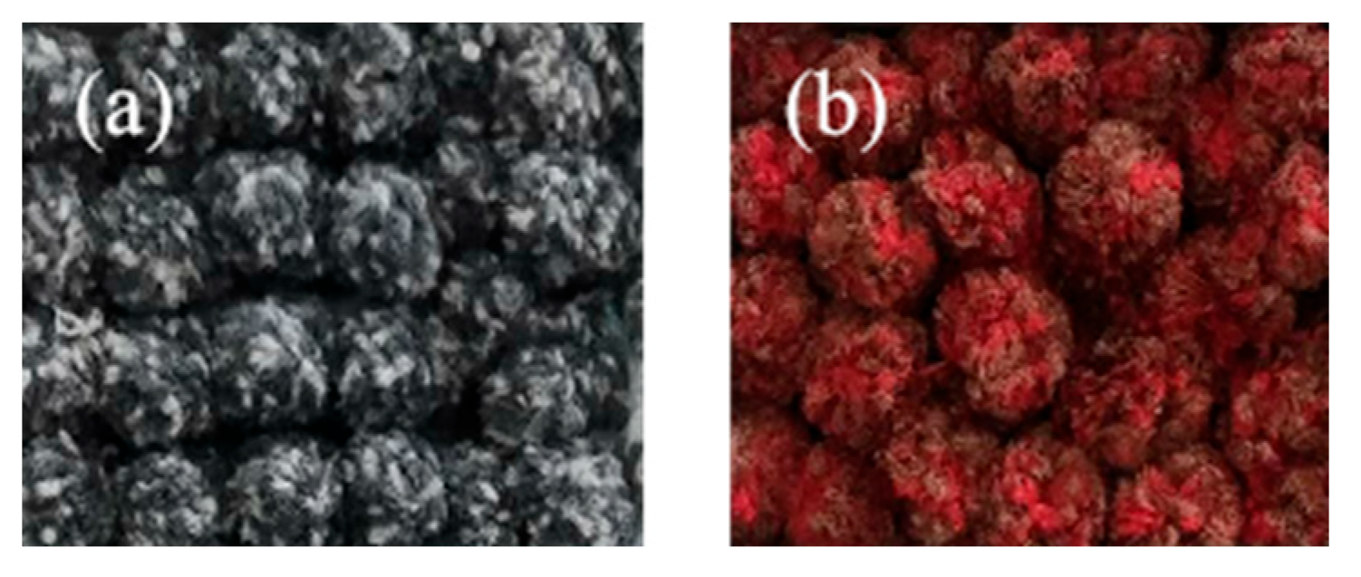 Fibers 13 00126 g011