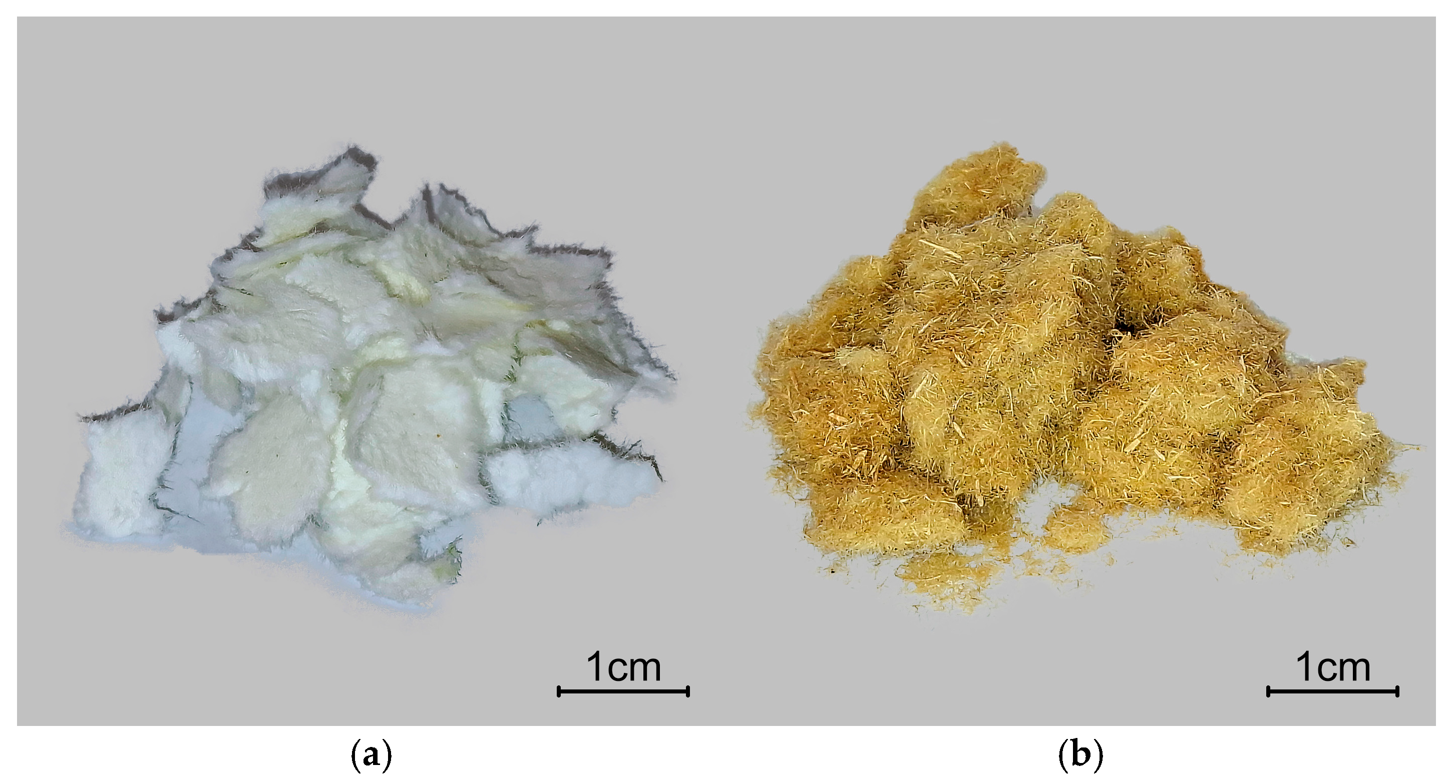 Fibers 13 00128 g001