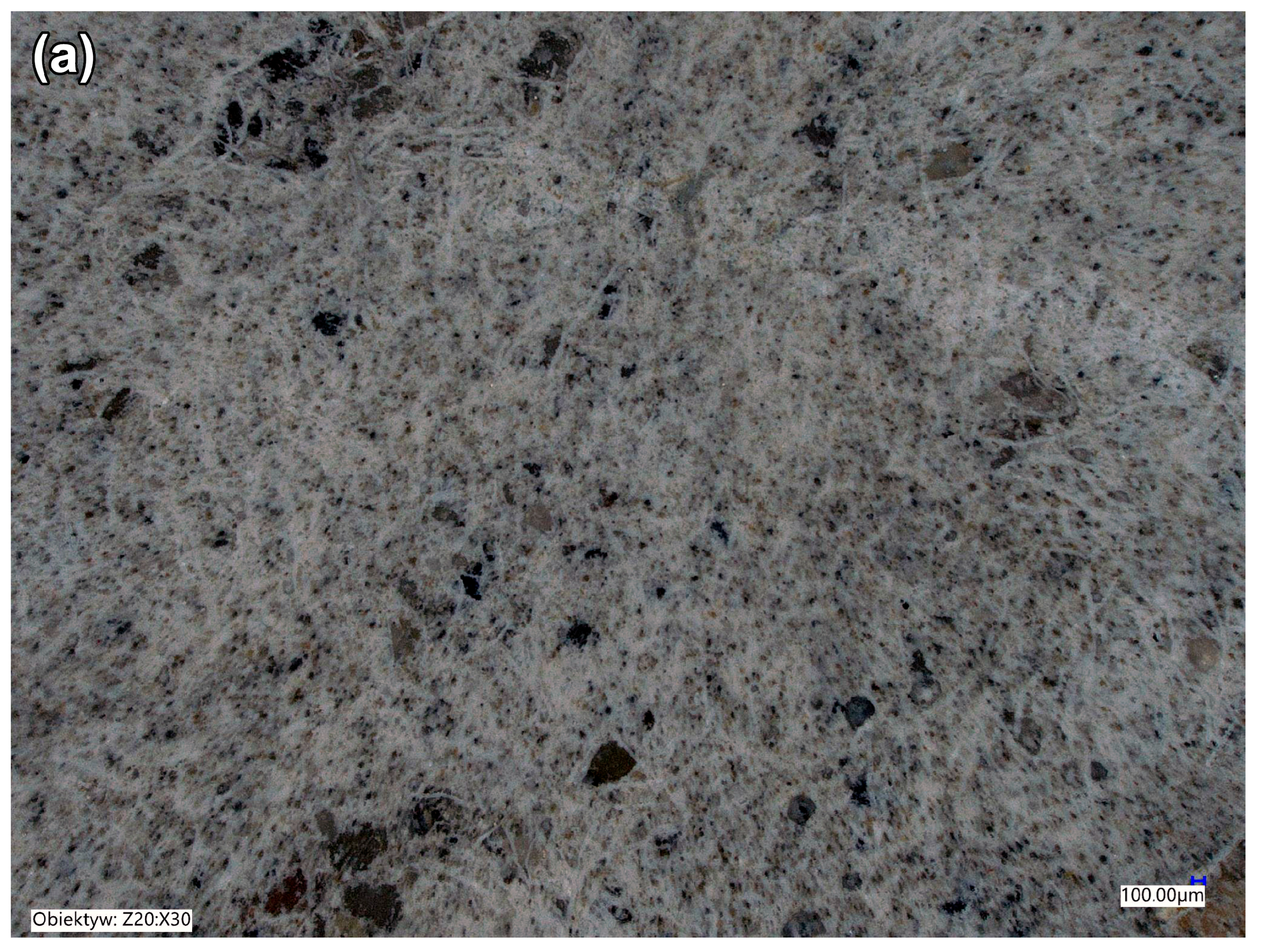 Fibers 13 00128 g006a