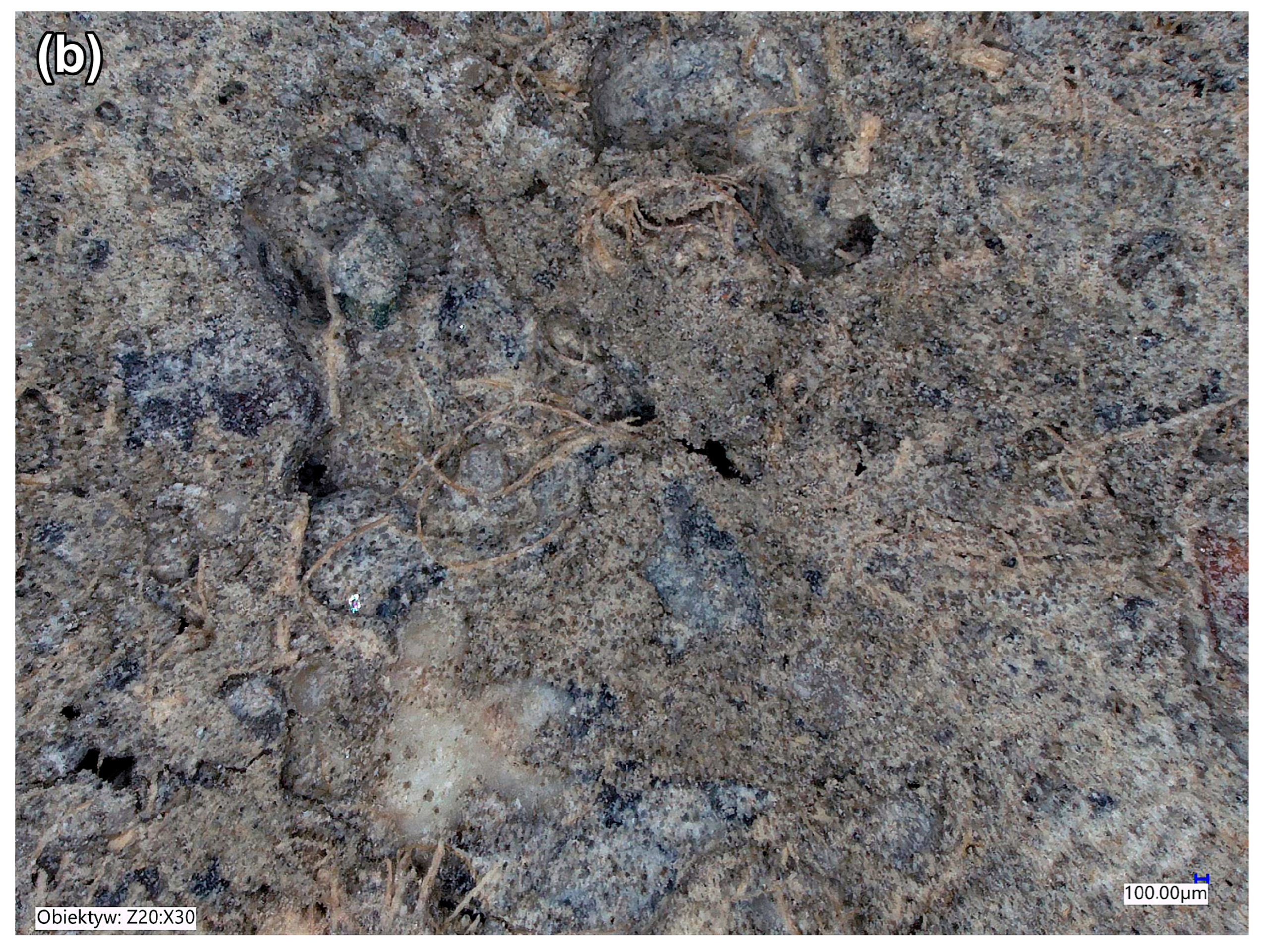 Fibers 13 00128 g006b