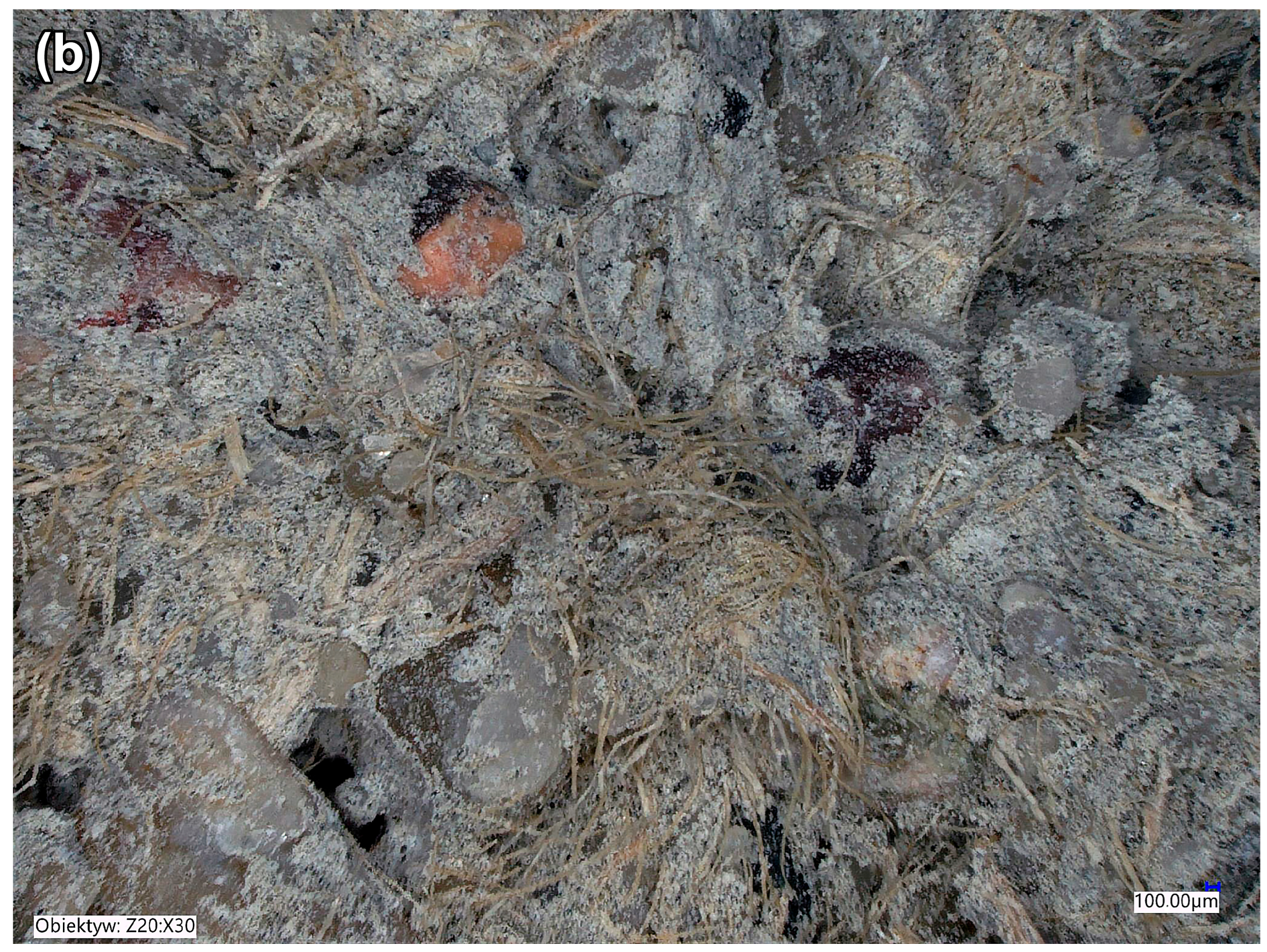 Fibers 13 00128 g007b