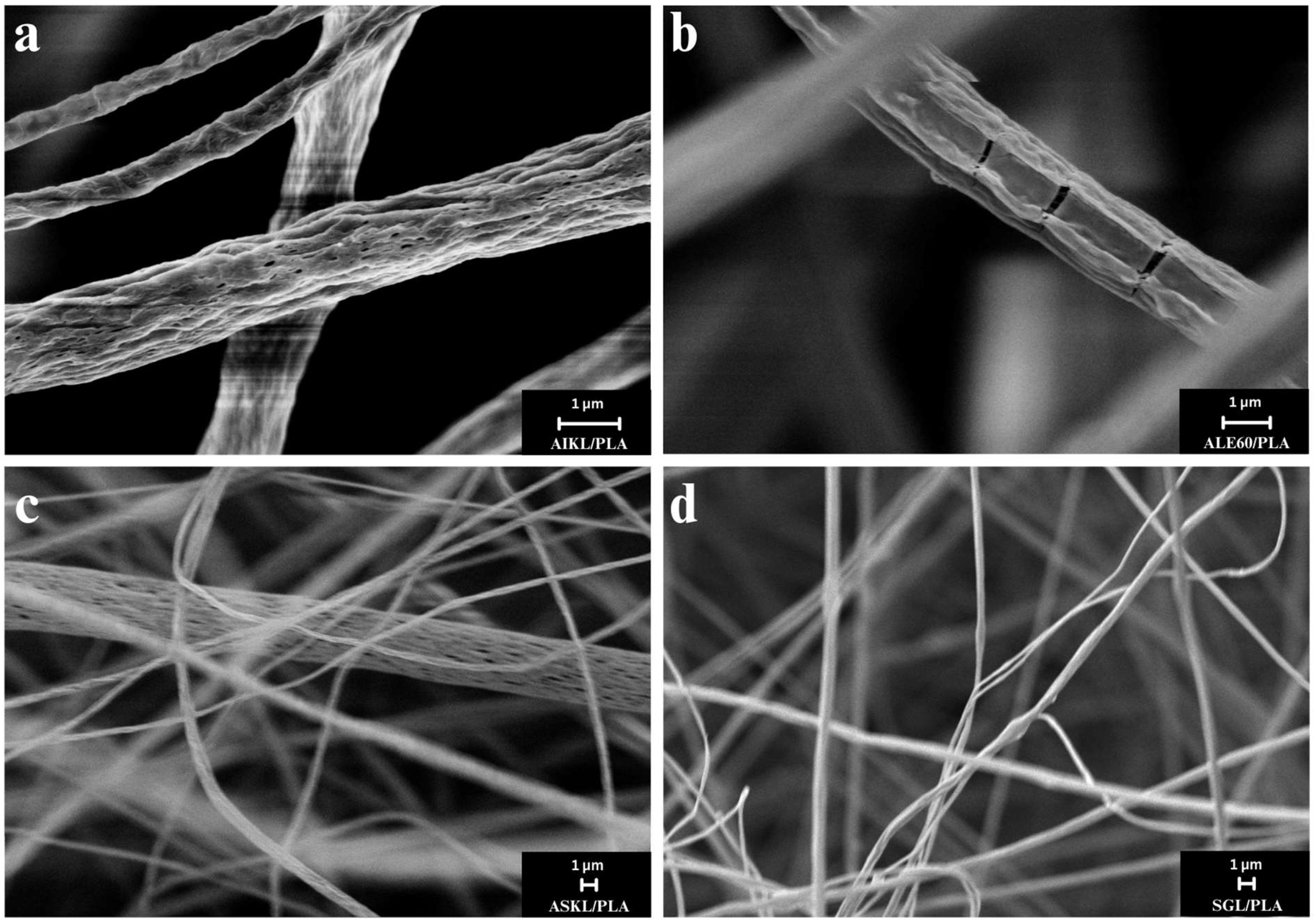 Fibers 13 00129 g006 Fibers 13 00129 g006