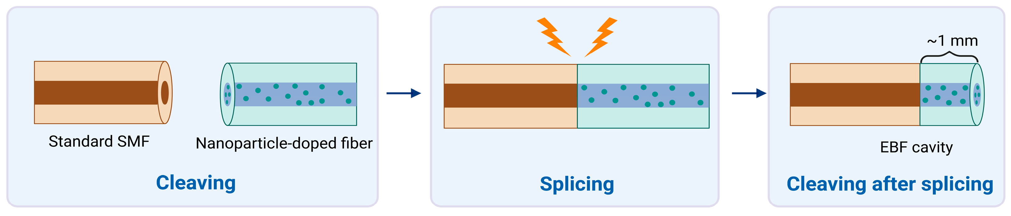 Fibers 13 00131 g001