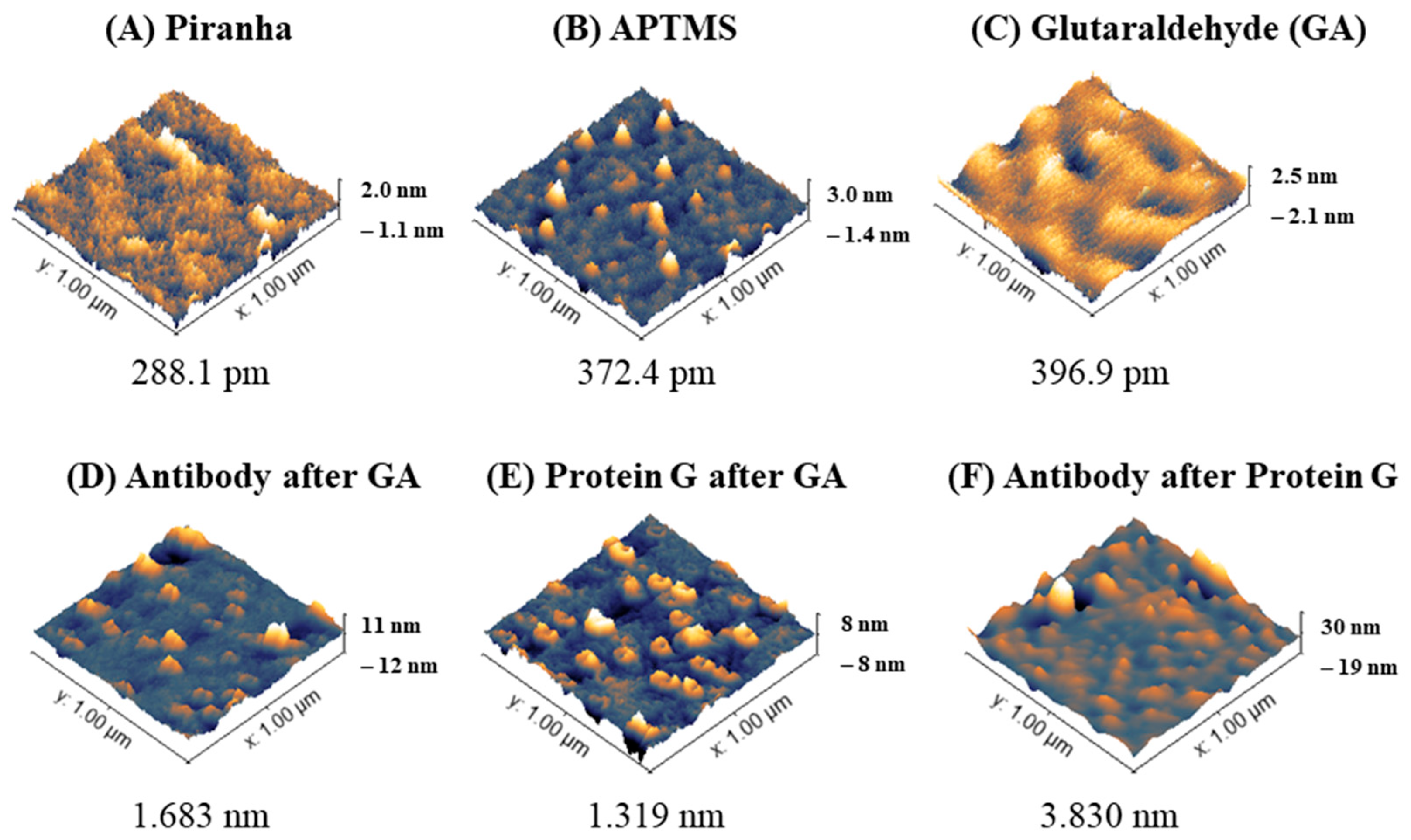 Fibers 13 00131 g003