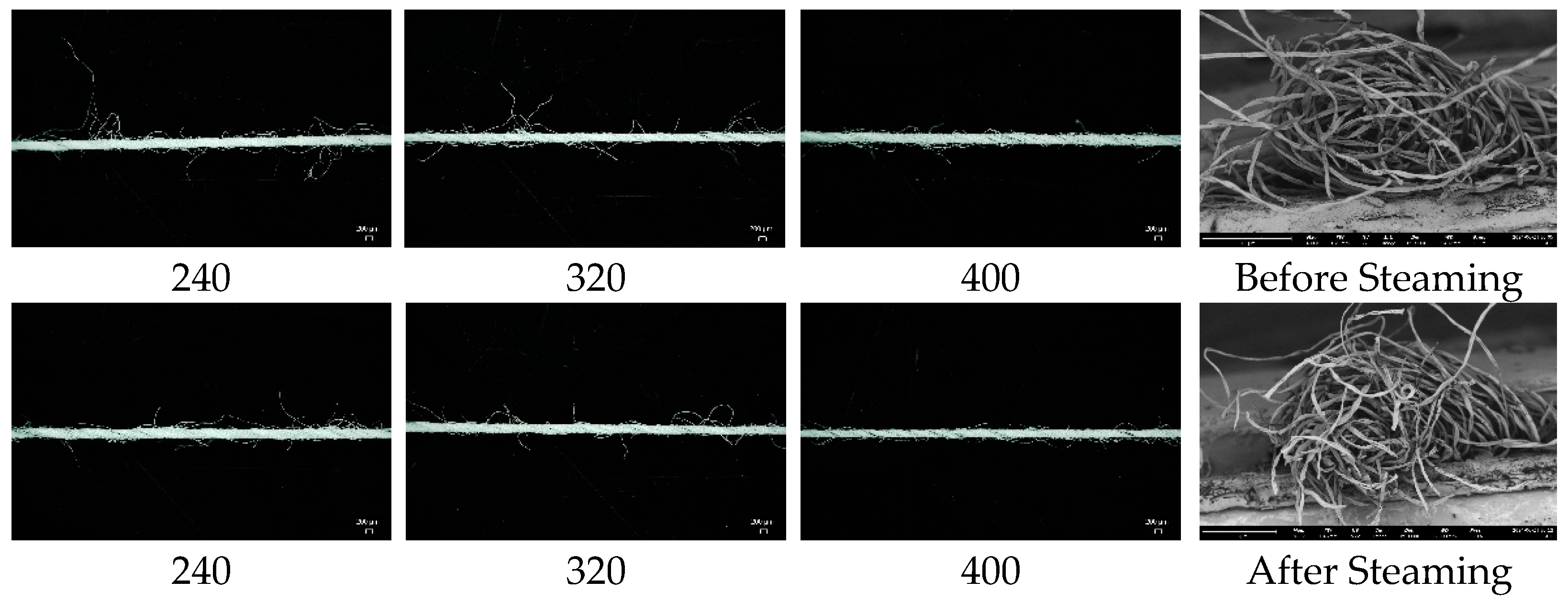 Fibers 13 00135 g001