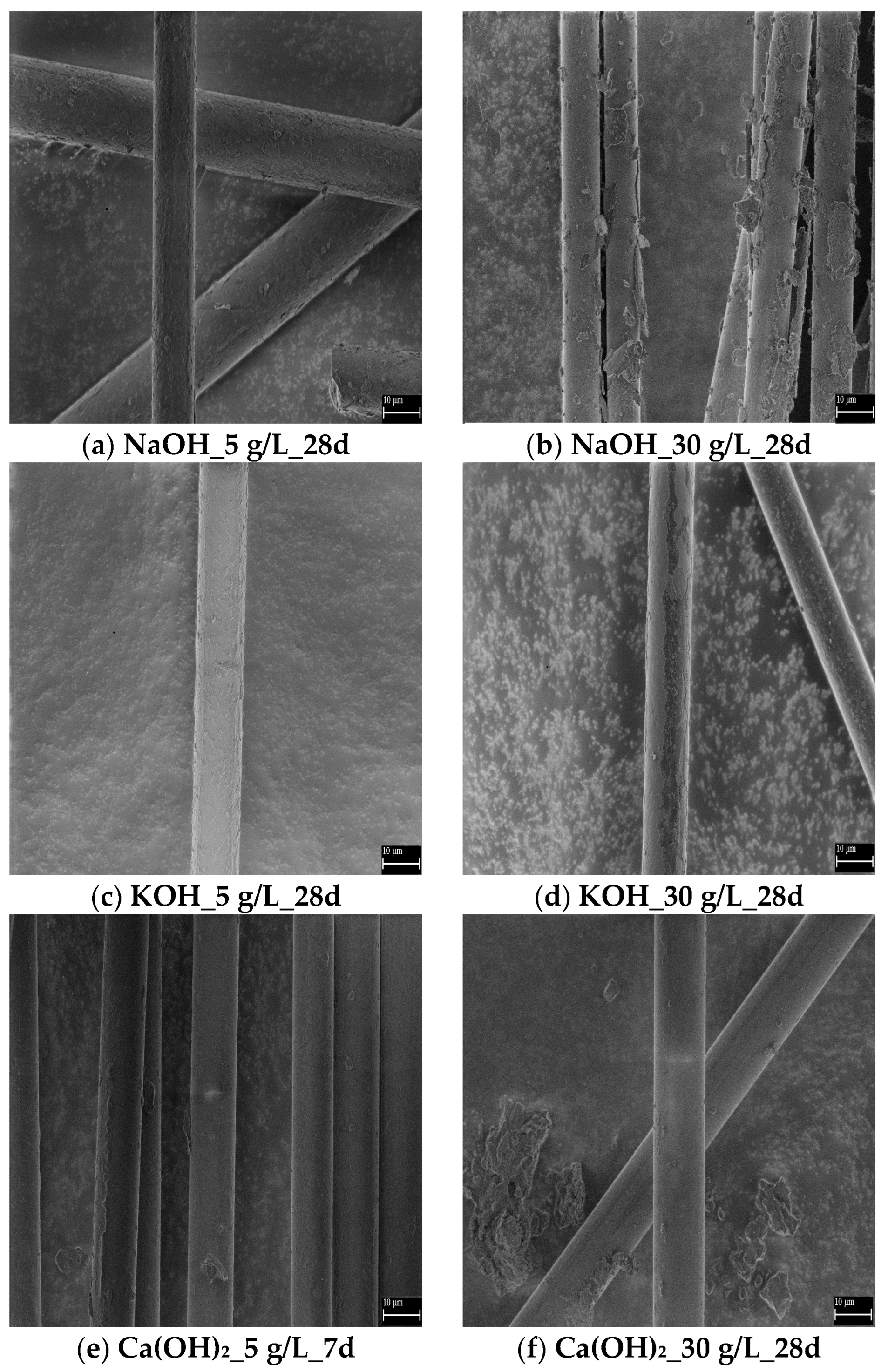 Fibers 13 00137 g008