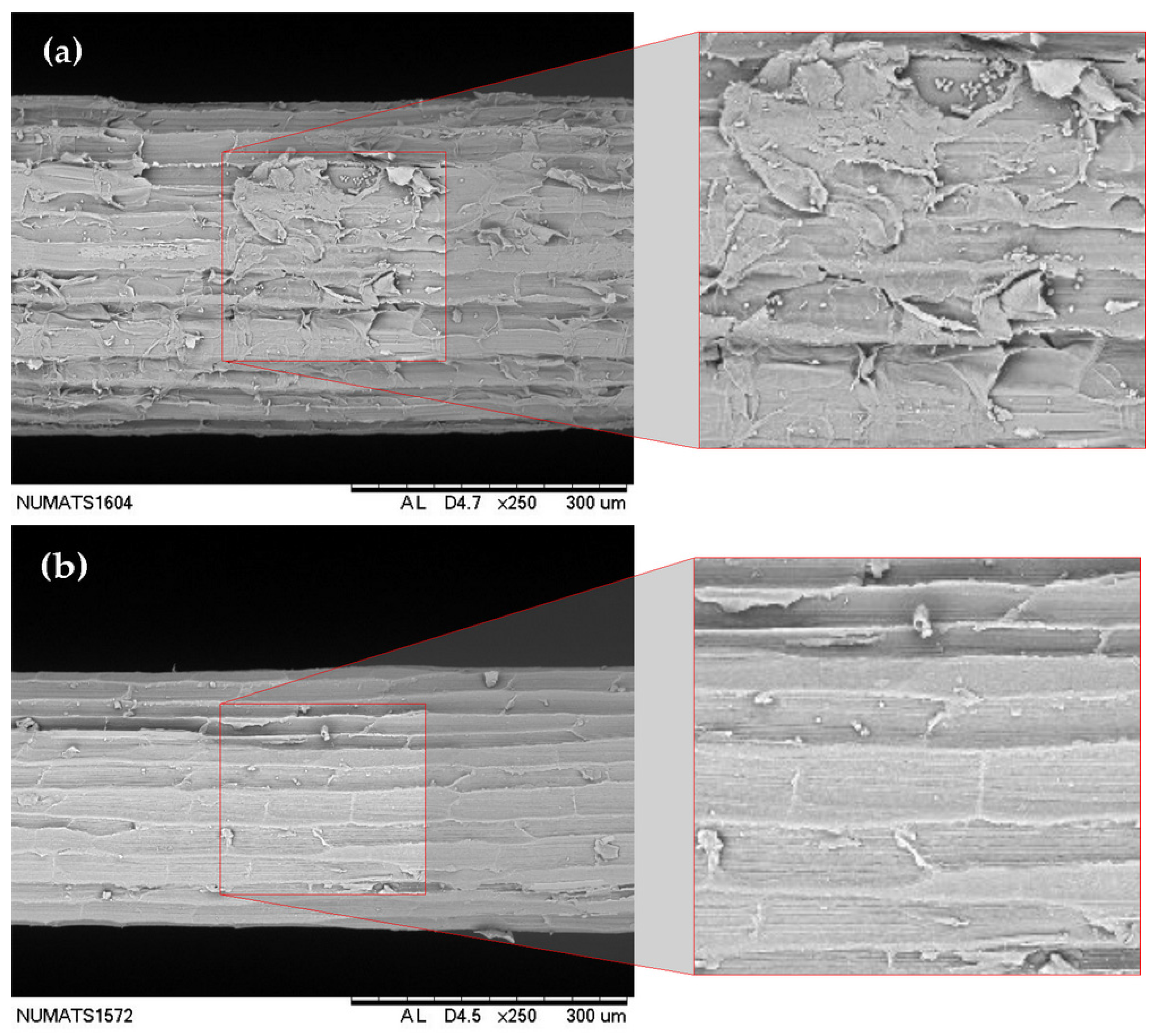 Fibers 13 00138 g003a Fibers 13 00138 g003a