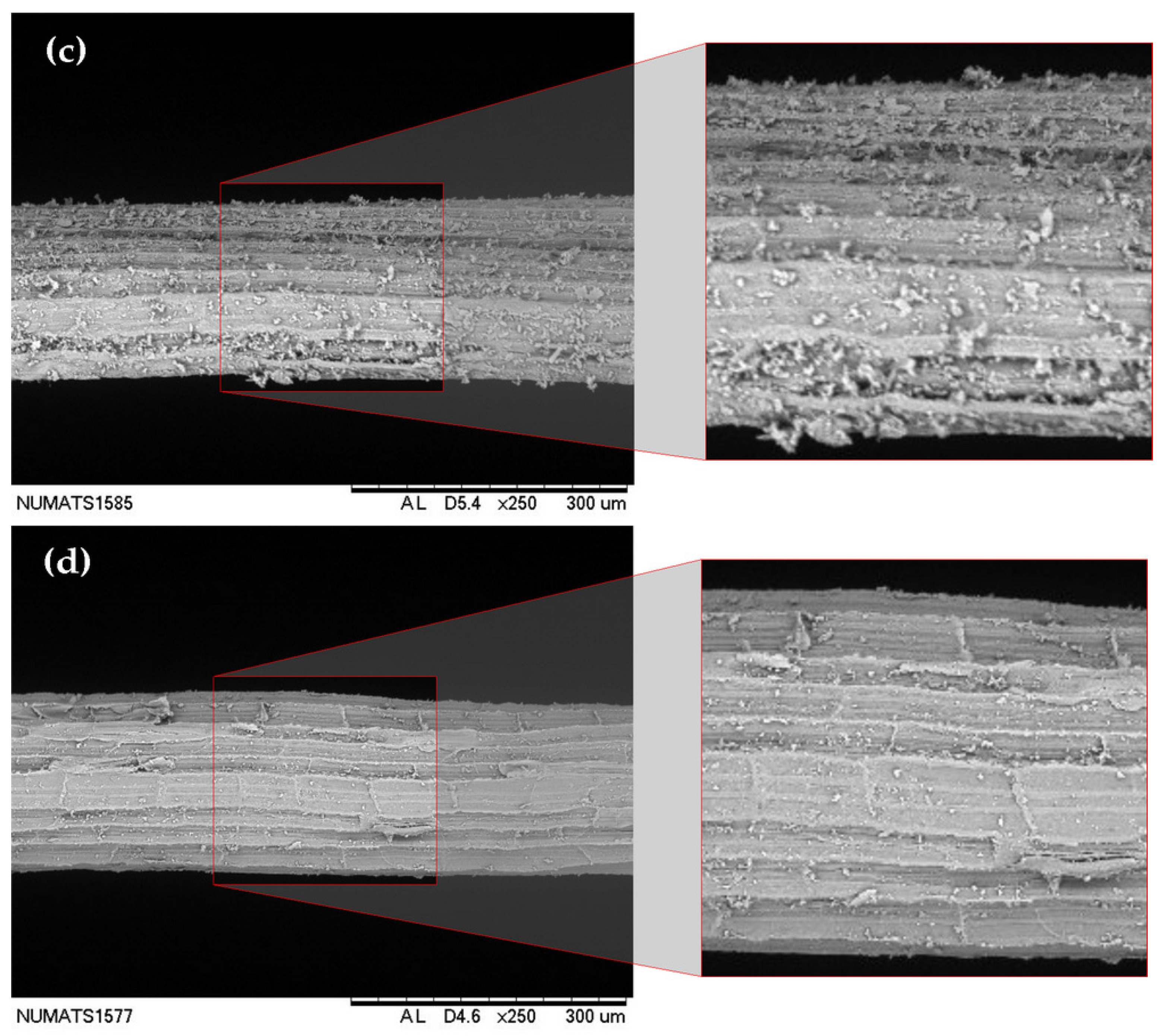 Fibers 13 00138 g003b Fibers 13 00138 g003b