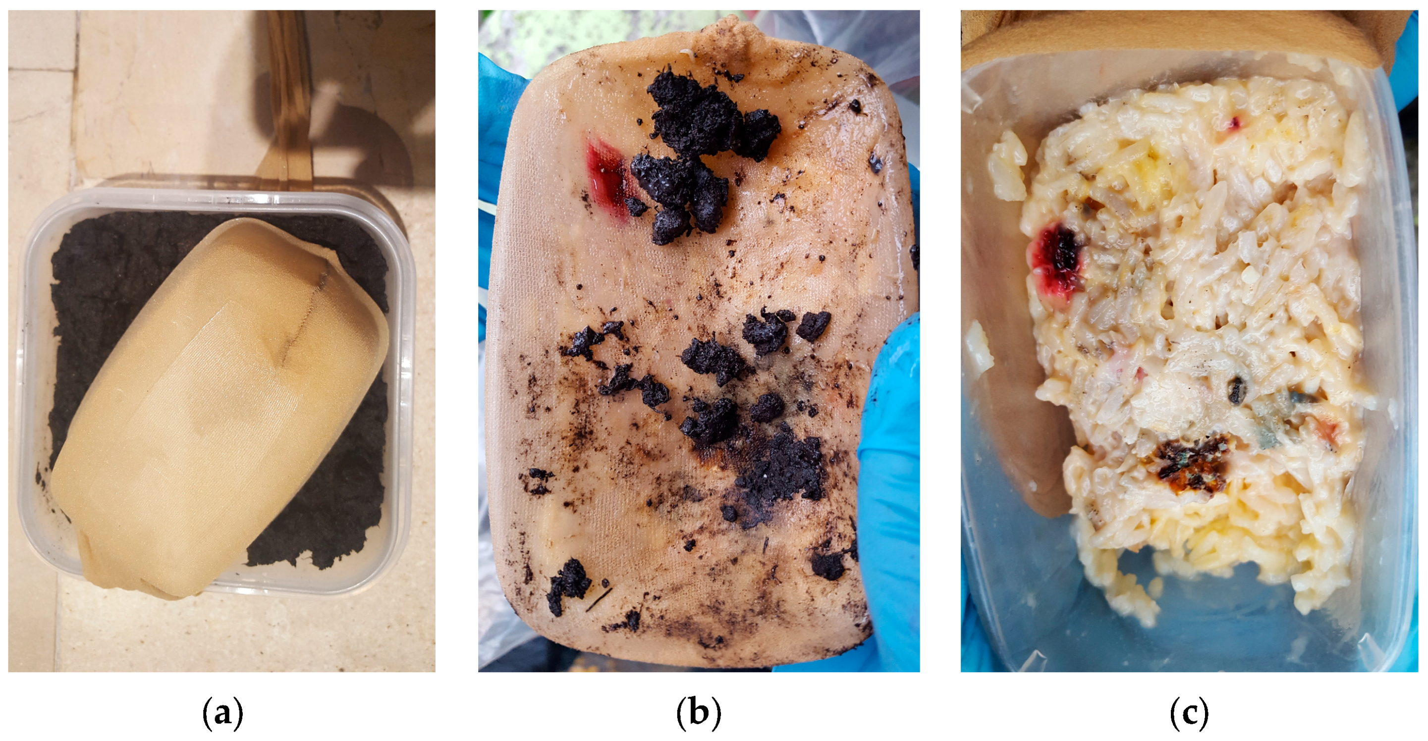 Fibers 13 00139 g004
