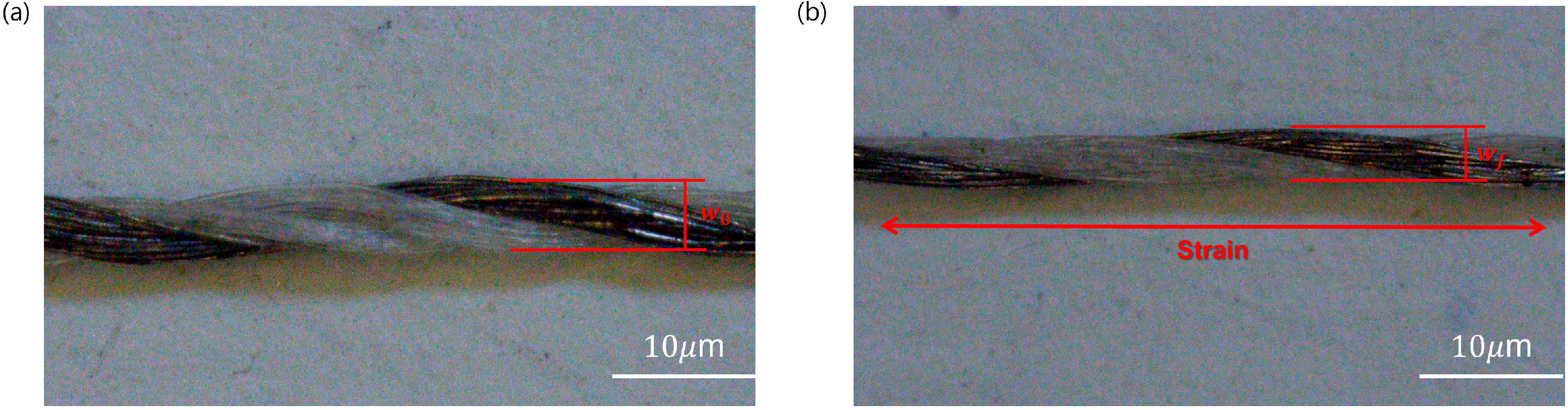 Fibers 13 00140 g009